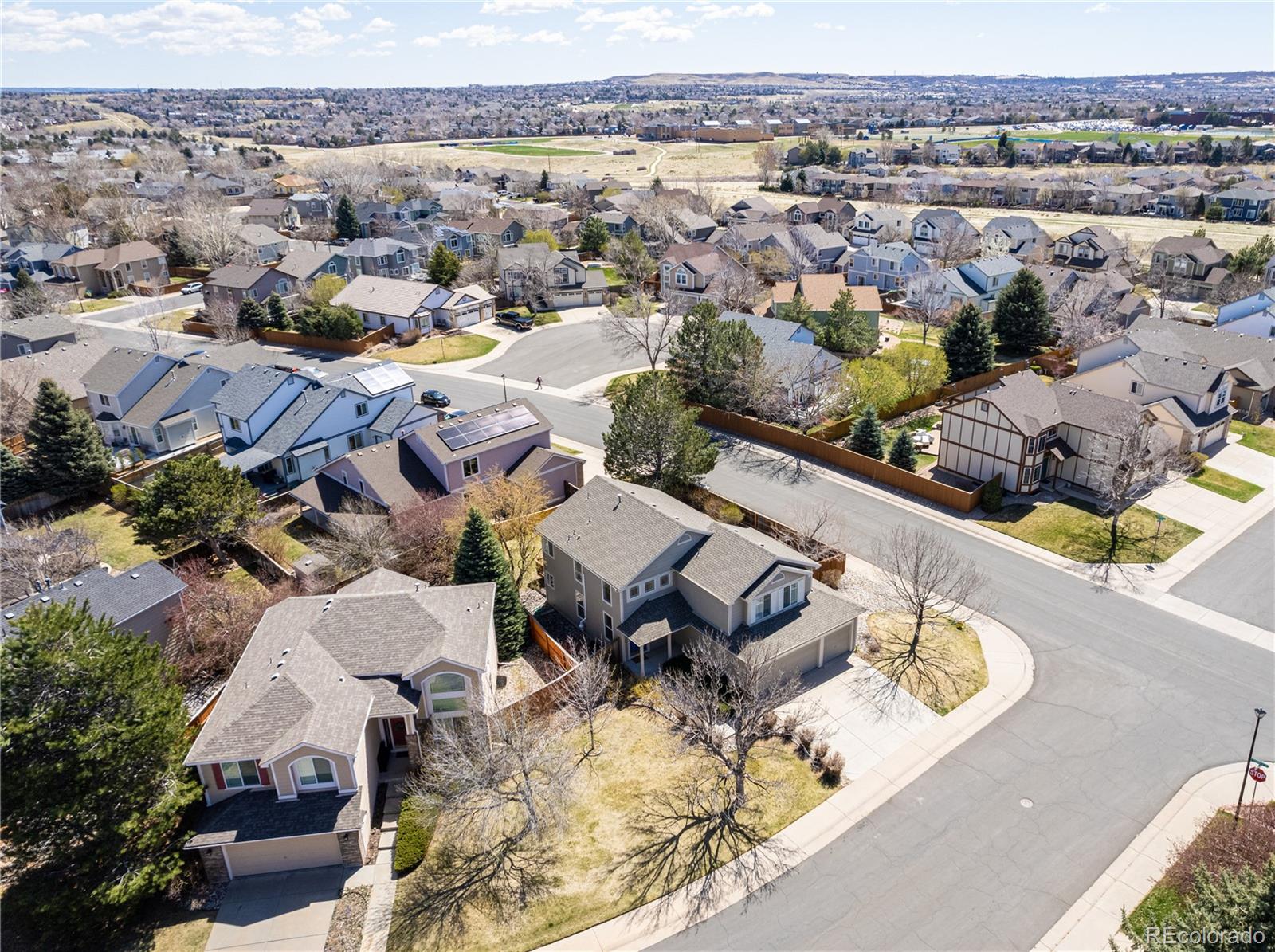 MLS Image #8 for 8988  goosander way,littleton, Colorado