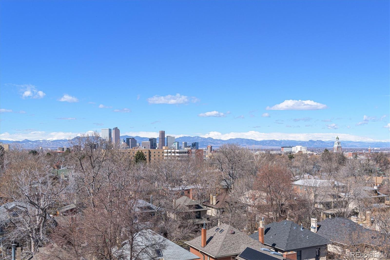 MLS Image #16 for 1313  steele street 304,denver, Colorado