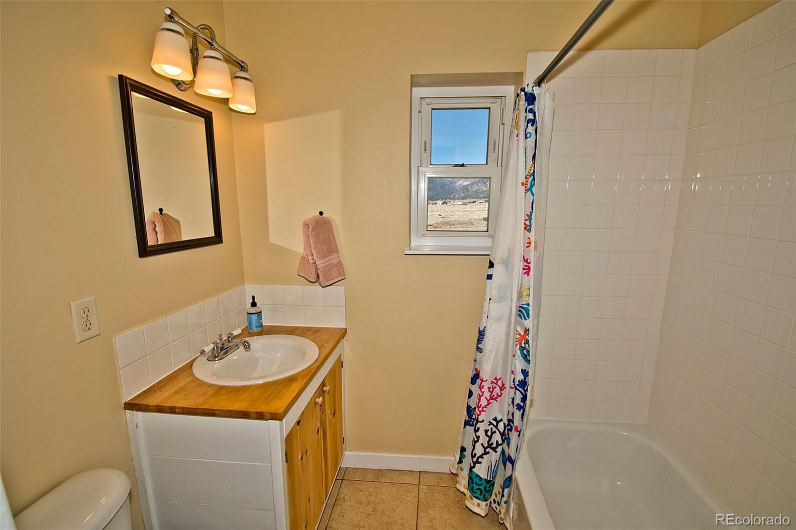 MLS Image #41 for 1327  badger road,crestone, Colorado