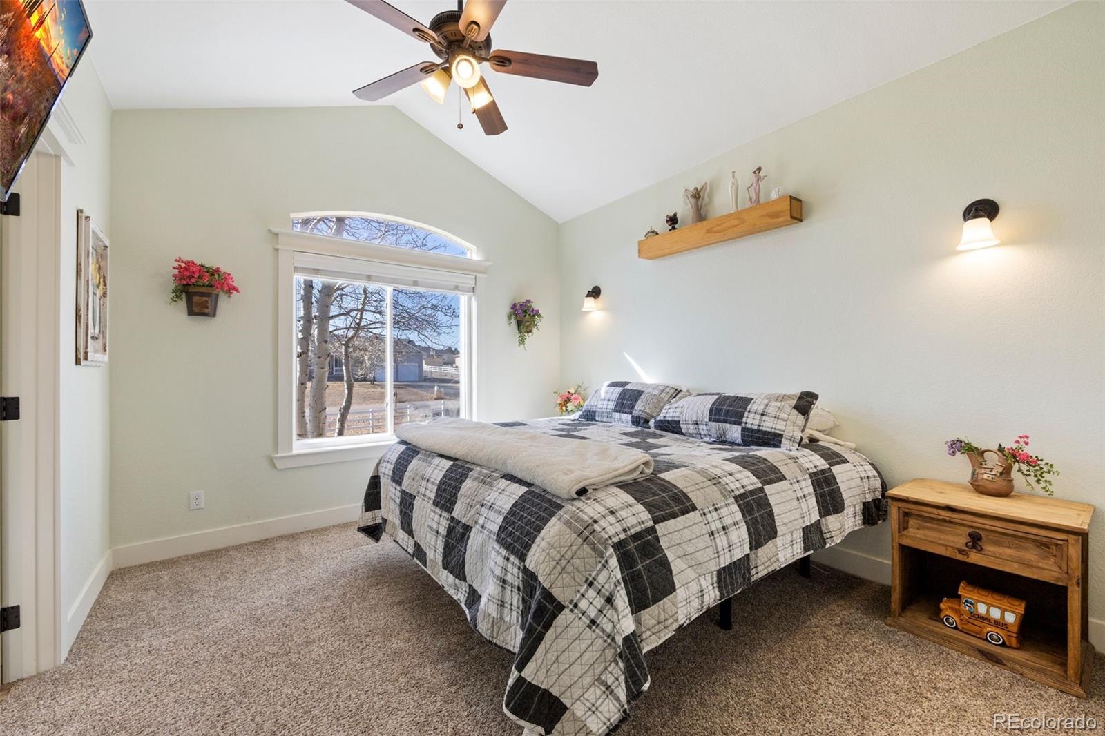 MLS Image #19 for 2217  red maple circle,parker, Colorado