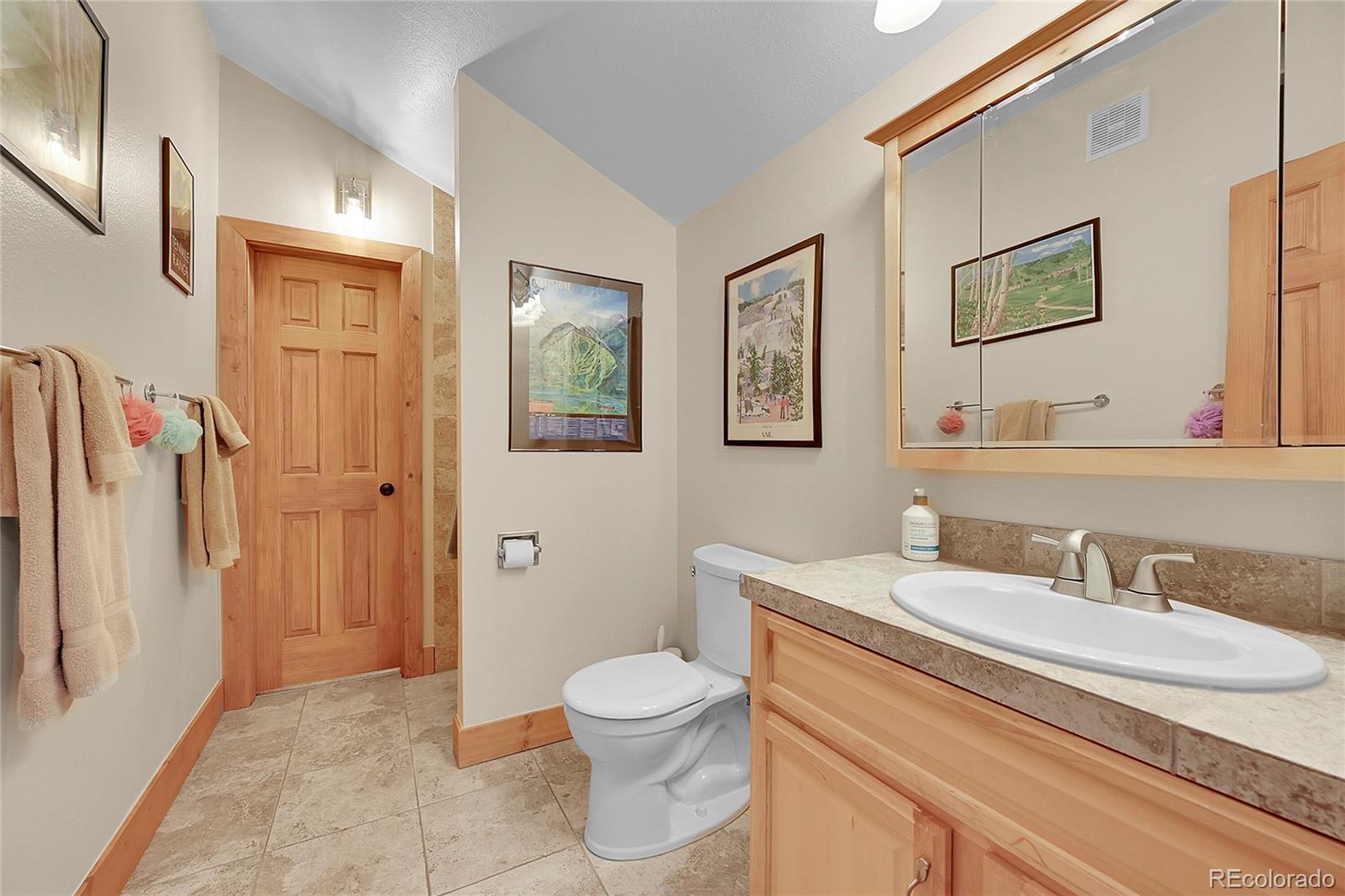 MLS Image #11 for 100  wild irishman road 1108,keystone, Colorado