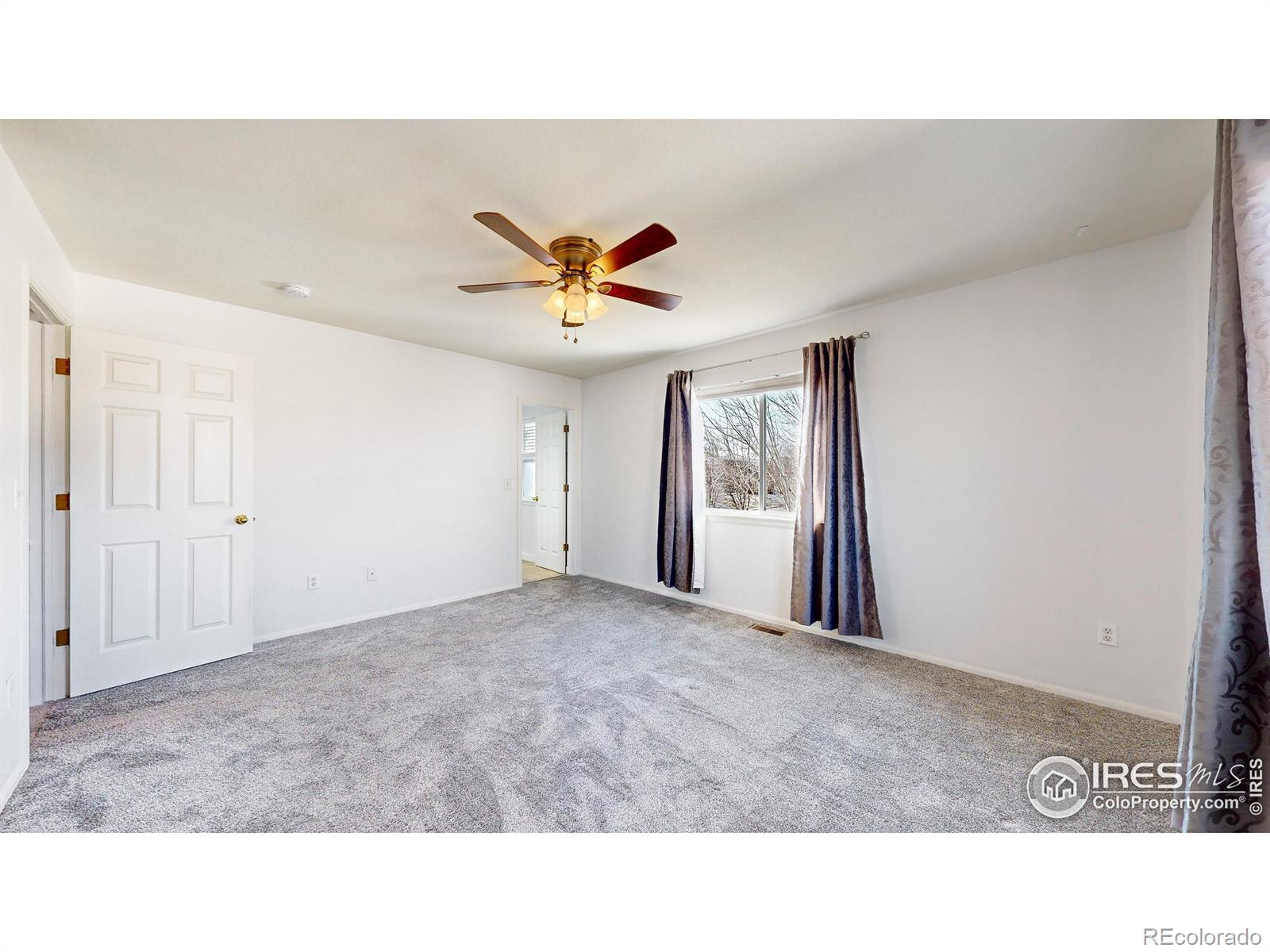 MLS Image #10 for 271  green teal drive,loveland, Colorado