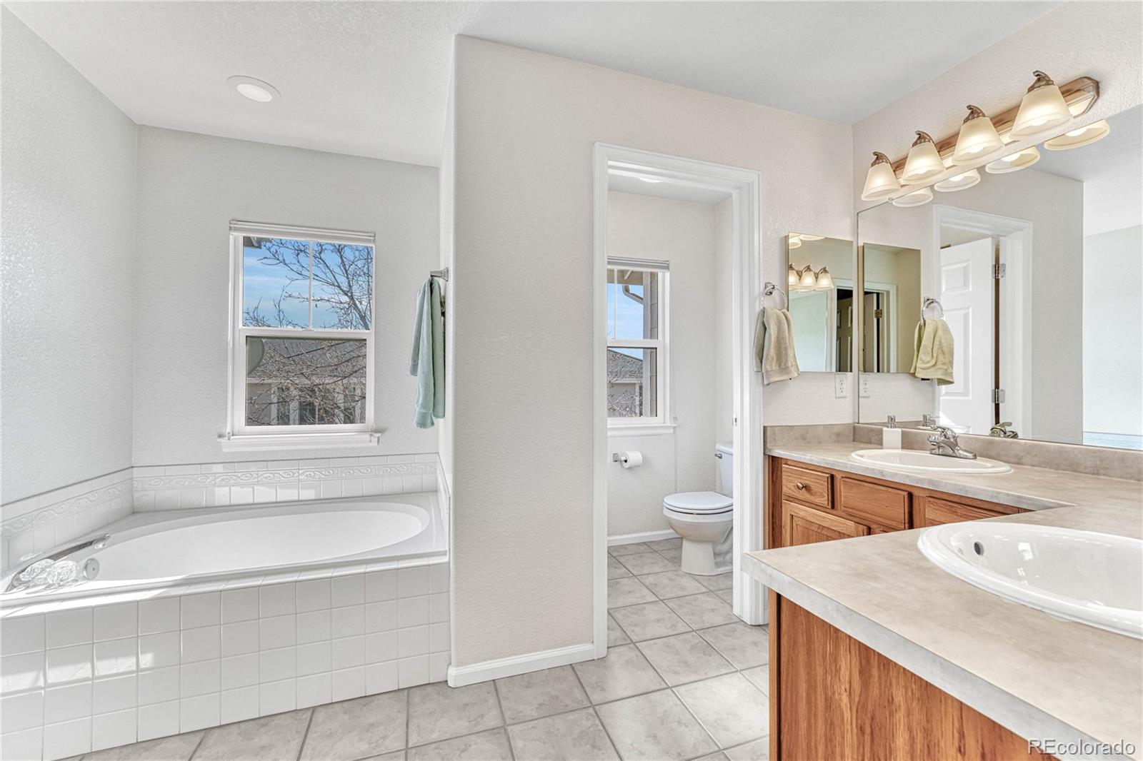 MLS Image #21 for 168  whitehaven circle,highlands ranch, Colorado