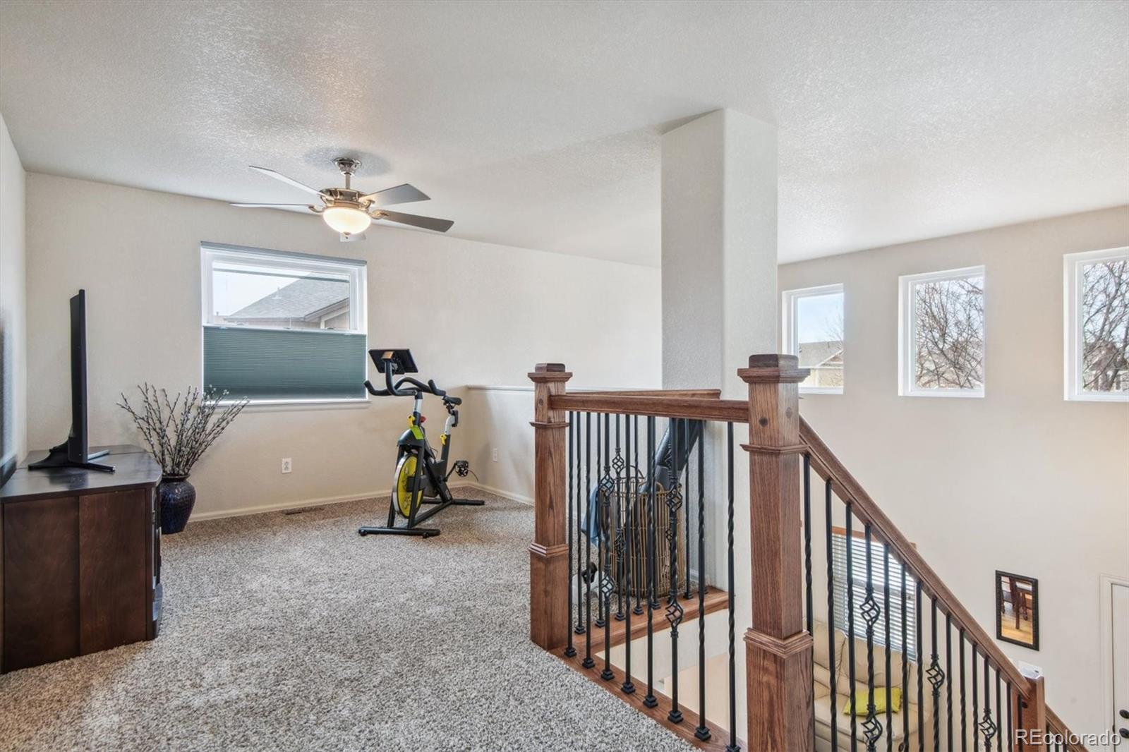 MLS Image #12 for 14636  gaylord street,thornton, Colorado