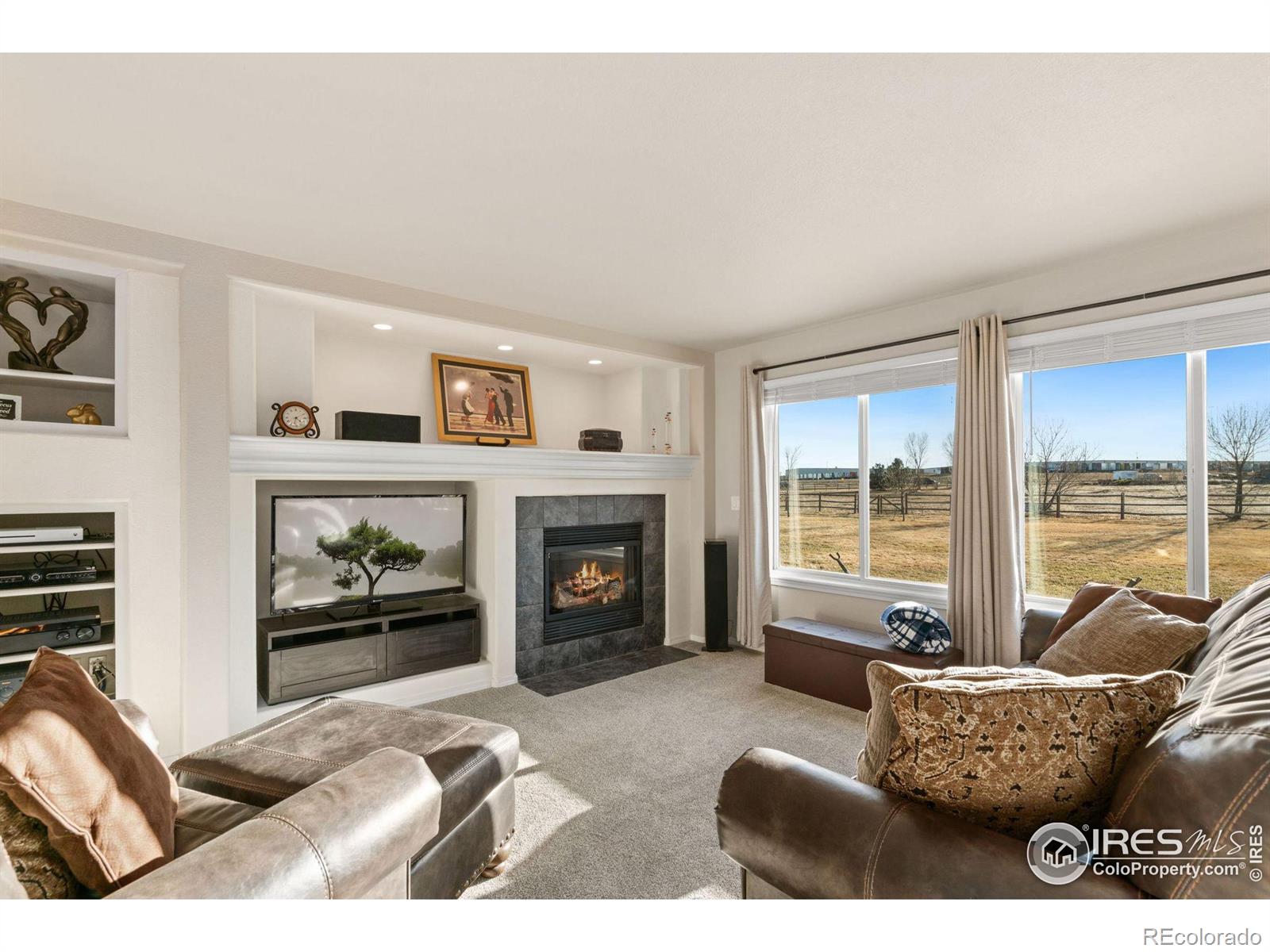 MLS Image #16 for 8828  meadowlark court,windsor, Colorado