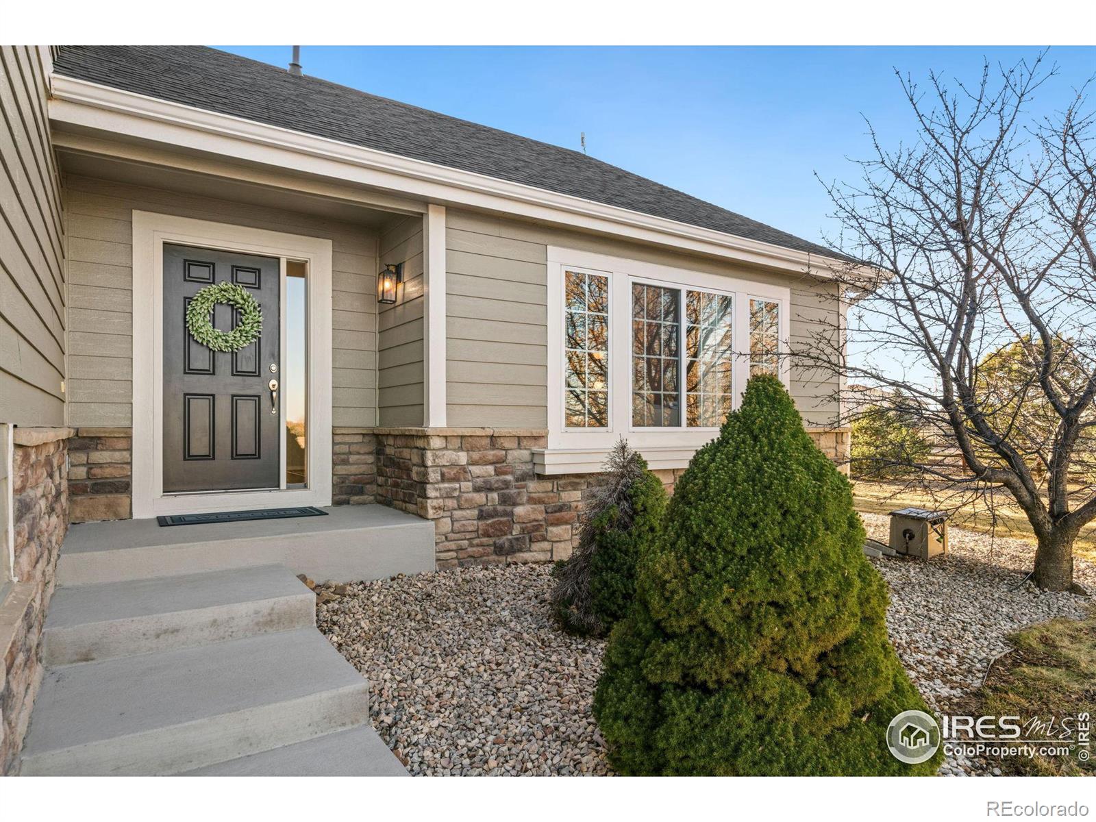 MLS Image #2 for 8828  meadowlark court,windsor, Colorado