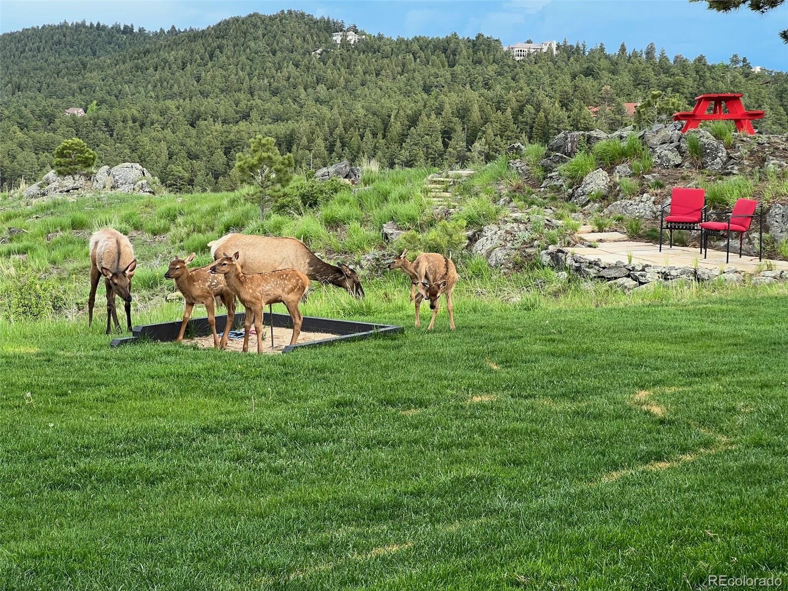 MLS Image #12 for 33418  alta vista drive,evergreen, Colorado