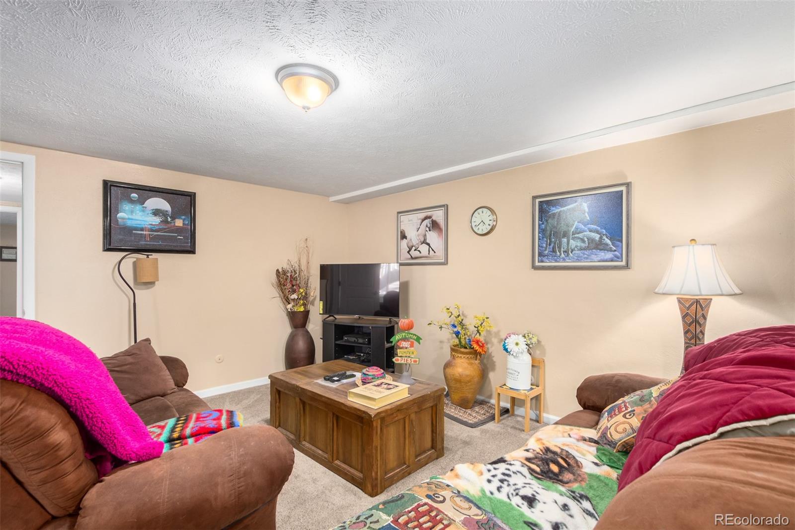 MLS Image #38 for 11006  vrain court,westminster, Colorado