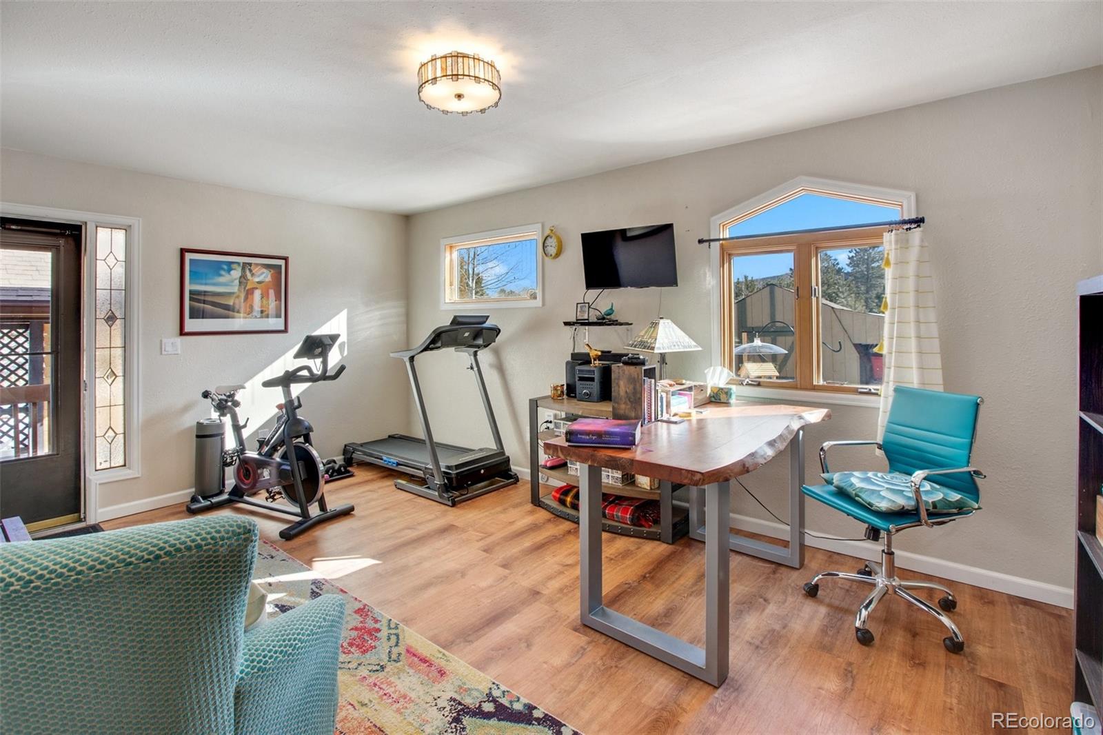 MLS Image #22 for 1310  michael lane,woodland park, Colorado