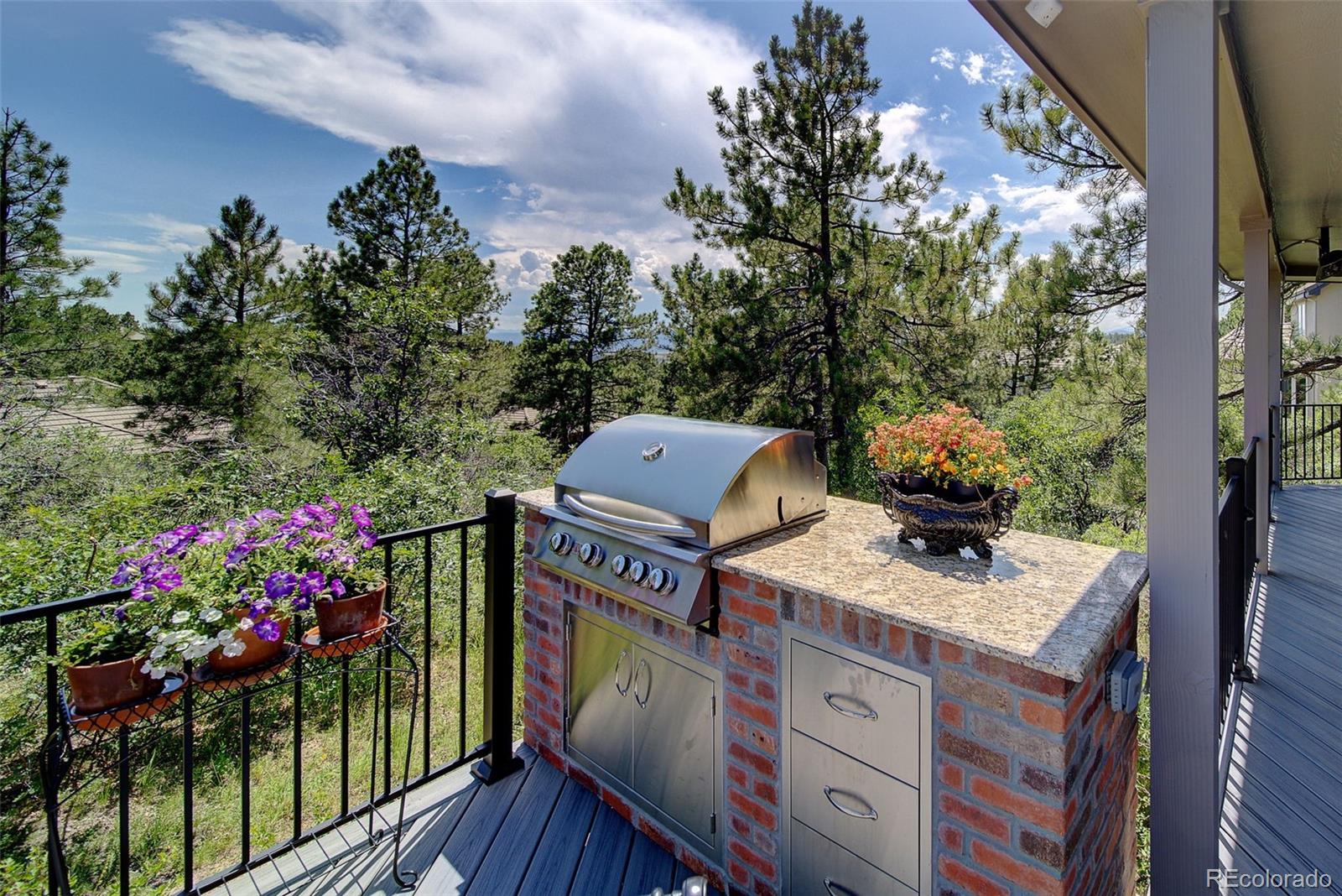 MLS Image #43 for 851  swandyke drive,castle rock, Colorado