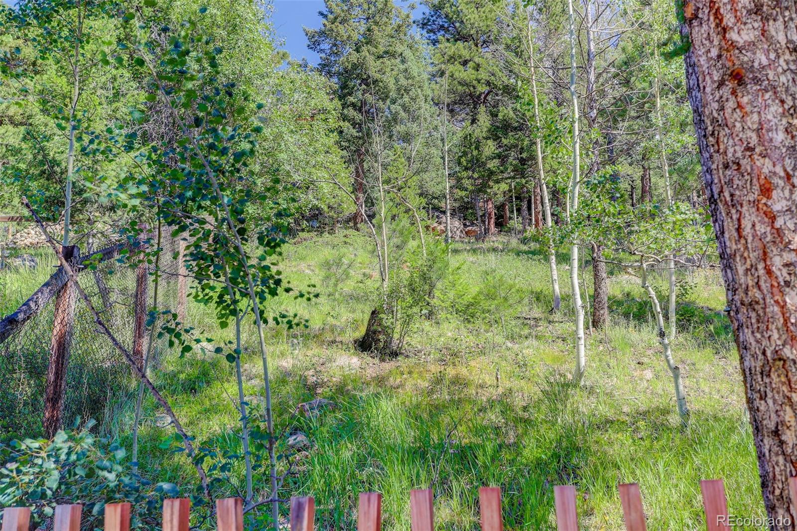 MLS Image #34 for 31061  pike view drive,conifer, Colorado
