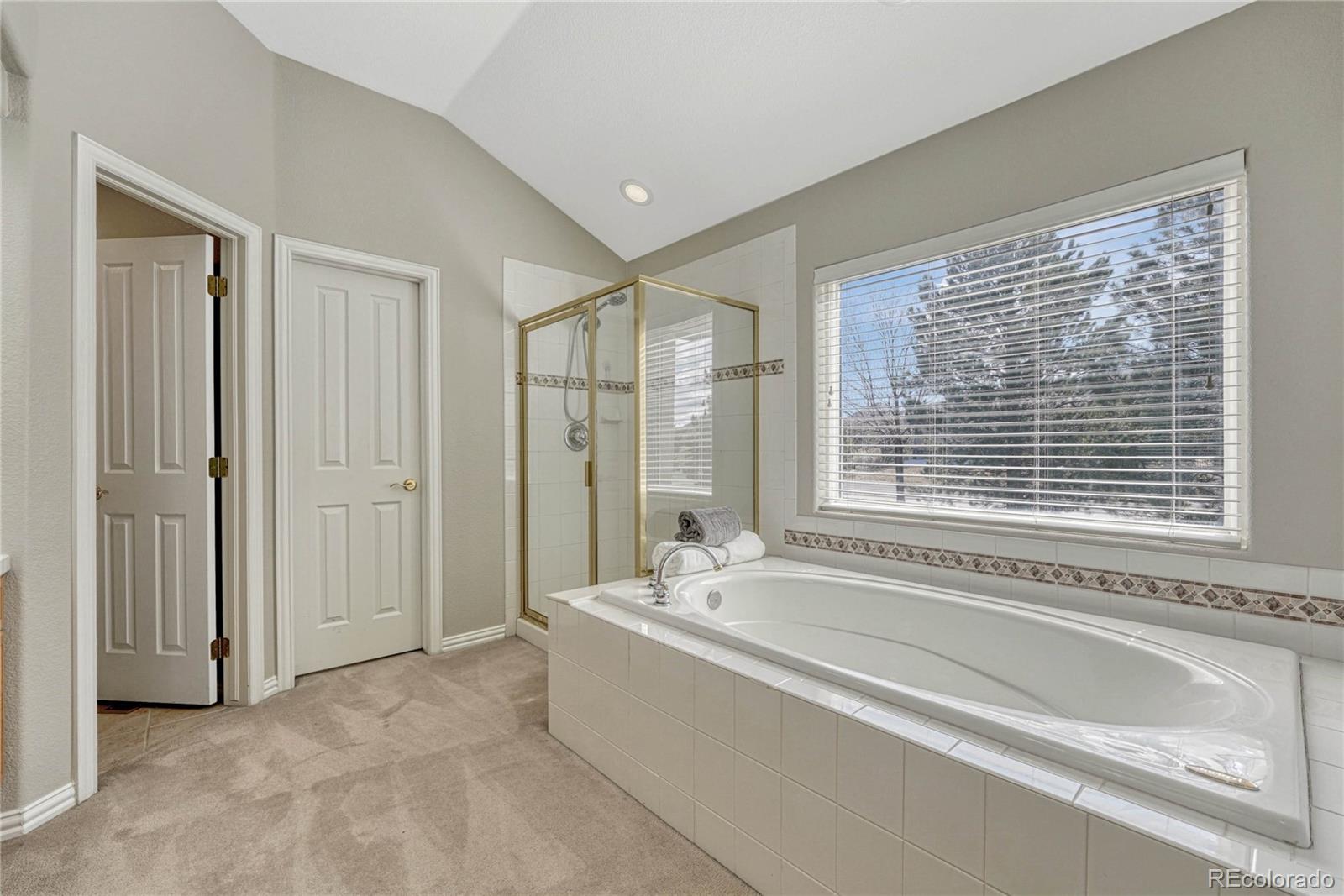 MLS Image #28 for 1538  sand wedge way,castle rock, Colorado