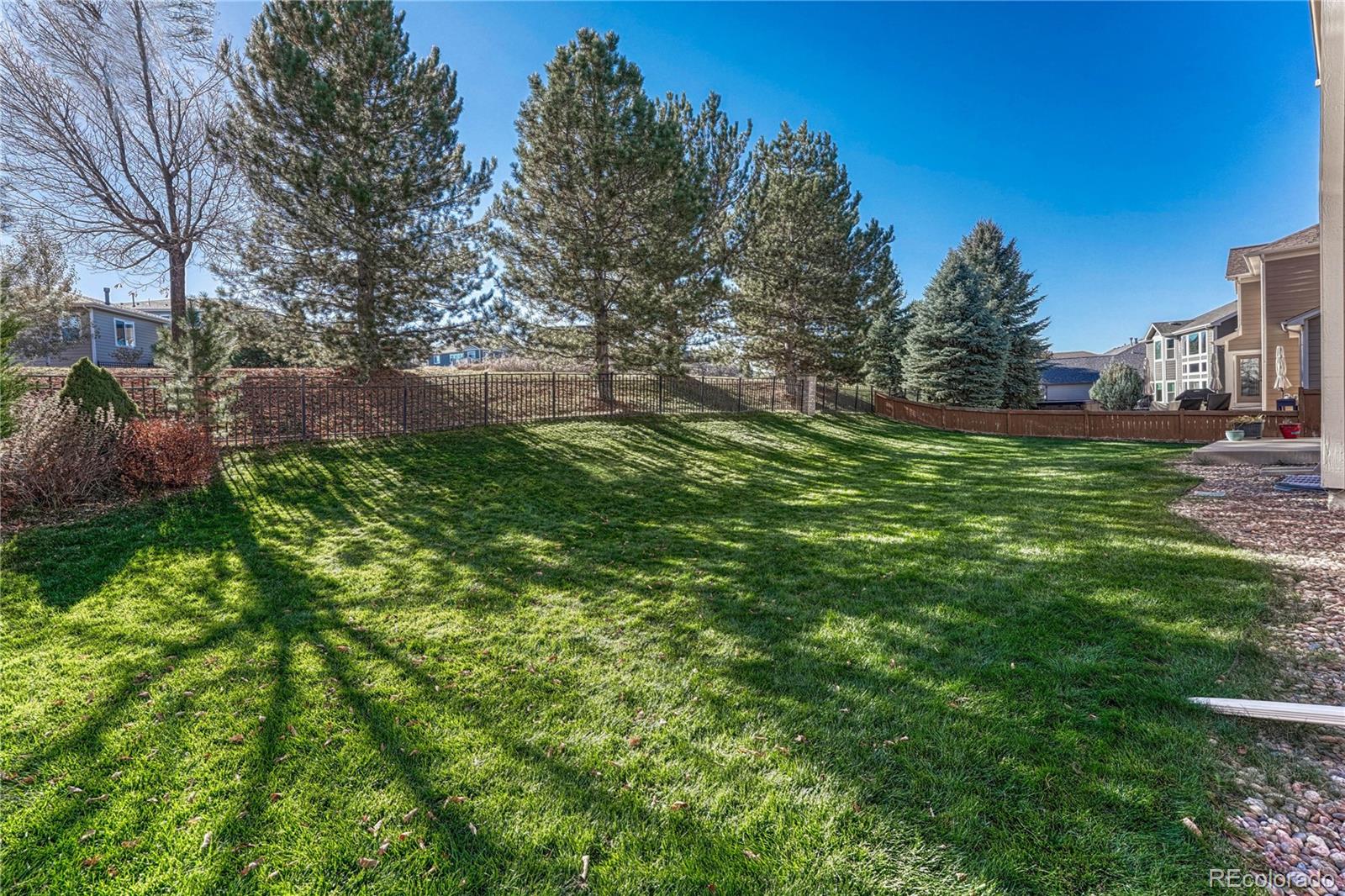 MLS Image #44 for 1538  sand wedge way,castle rock, Colorado