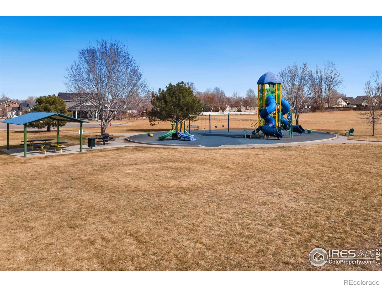 MLS Image #34 for 629  moose street,frederick, Colorado