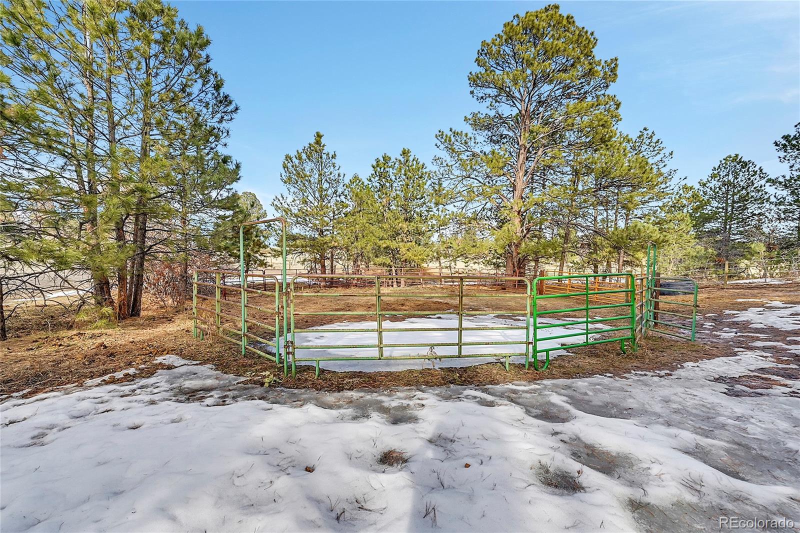 MLS Image #38 for 11388  random valley circle,parker, Colorado