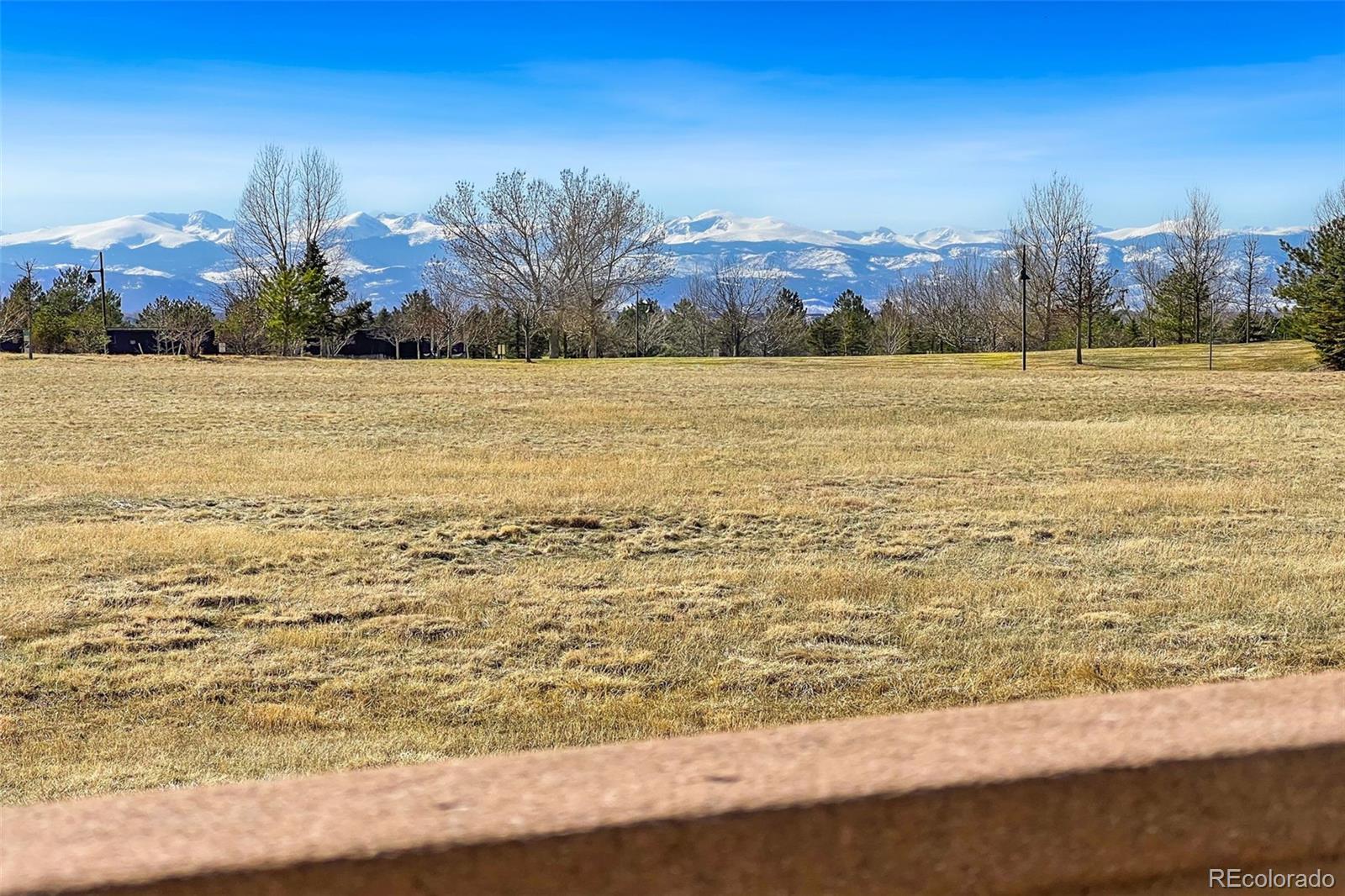 MLS Image #42 for 16429  somerset drive,broomfield, Colorado