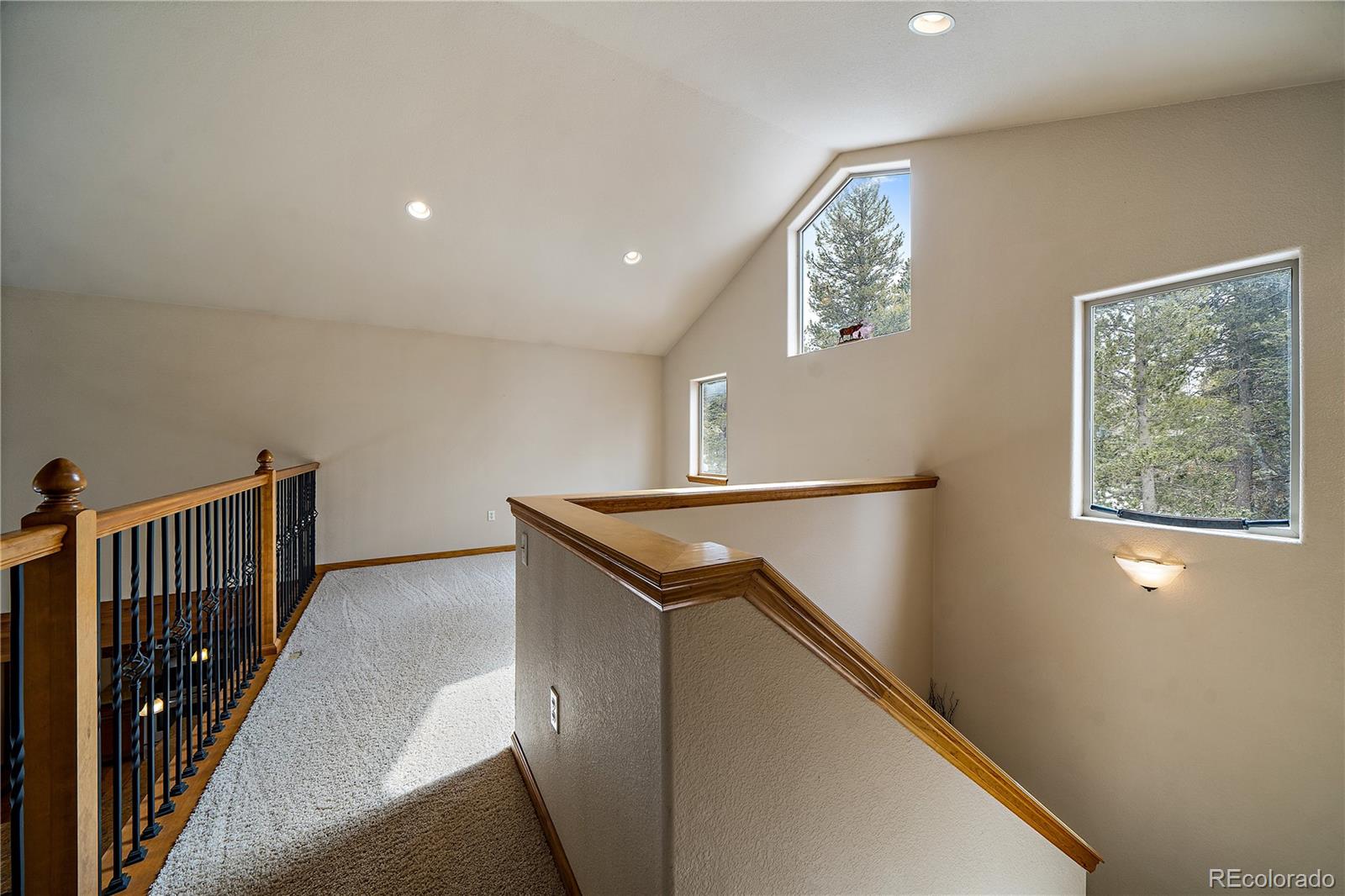 MLS Image #25 for 11517  green circle,conifer, Colorado