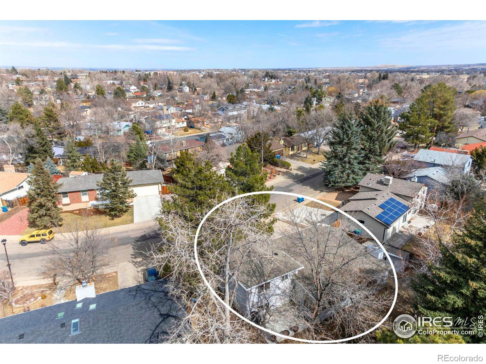 MLS Image #37 for 234  short place,louisville, Colorado