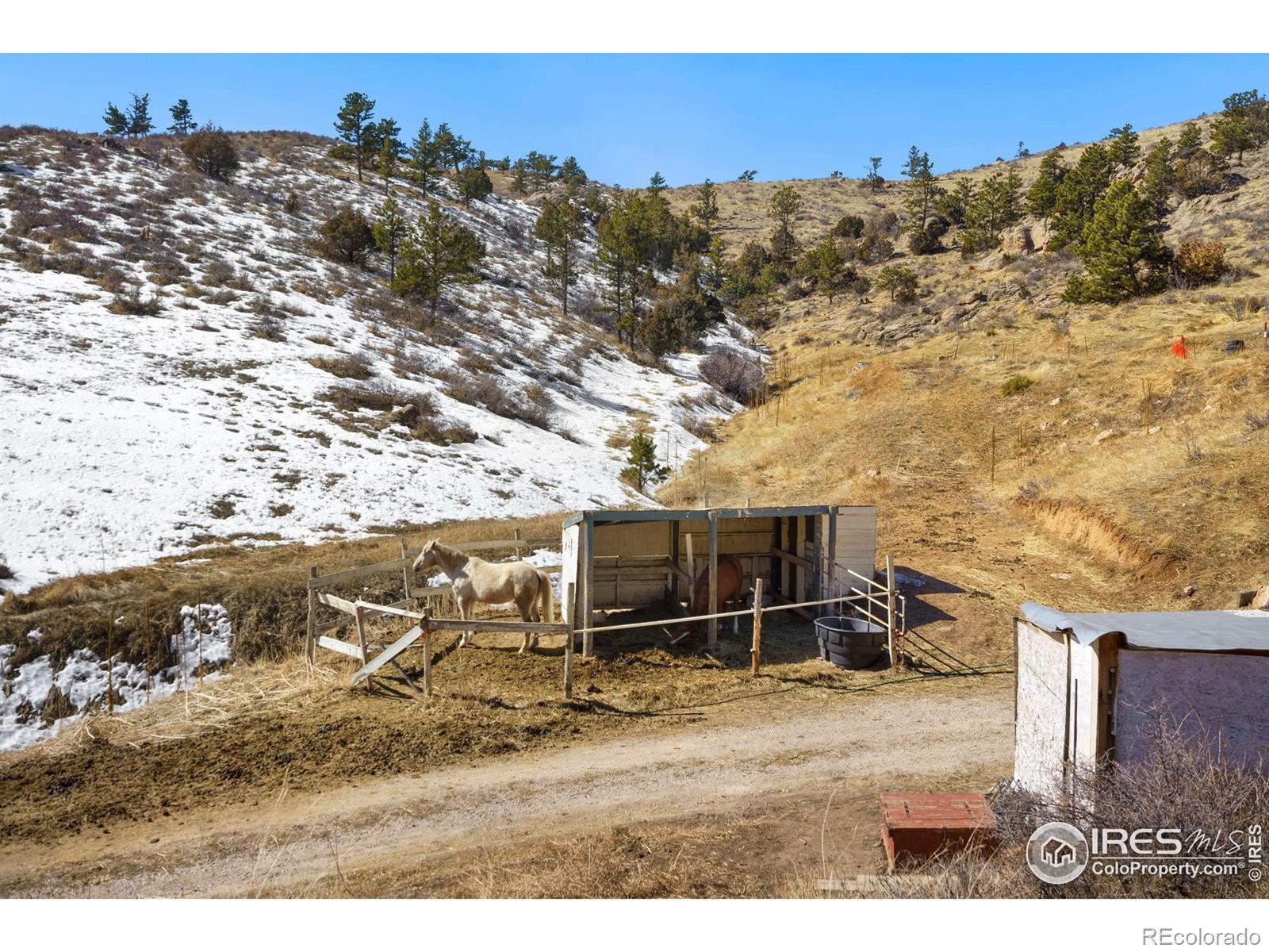 MLS Image #30 for 1223  happy jack road,livermore, Colorado