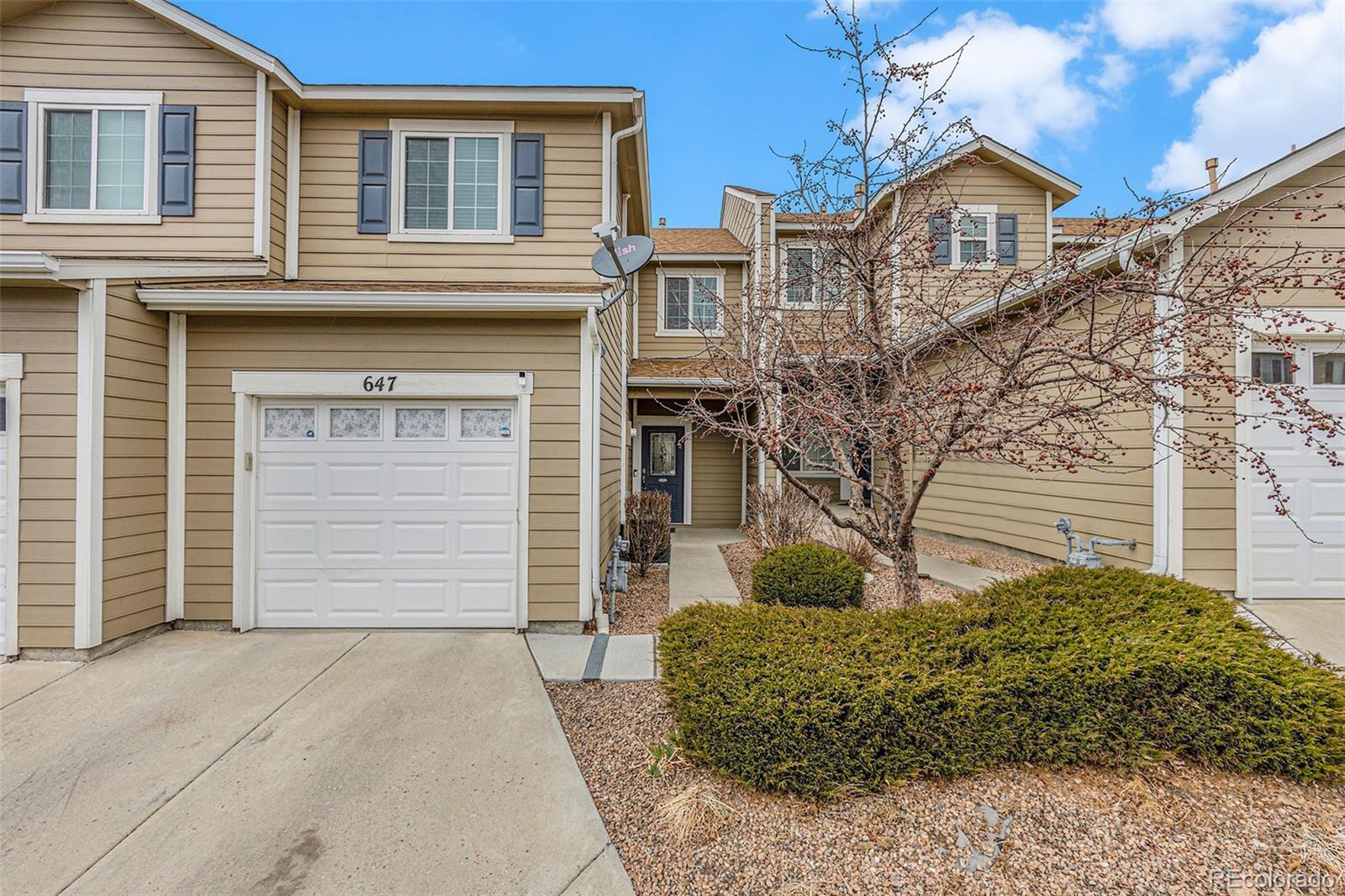 Report Image for 647  Hailey Glenn View,Colorado Springs, Colorado