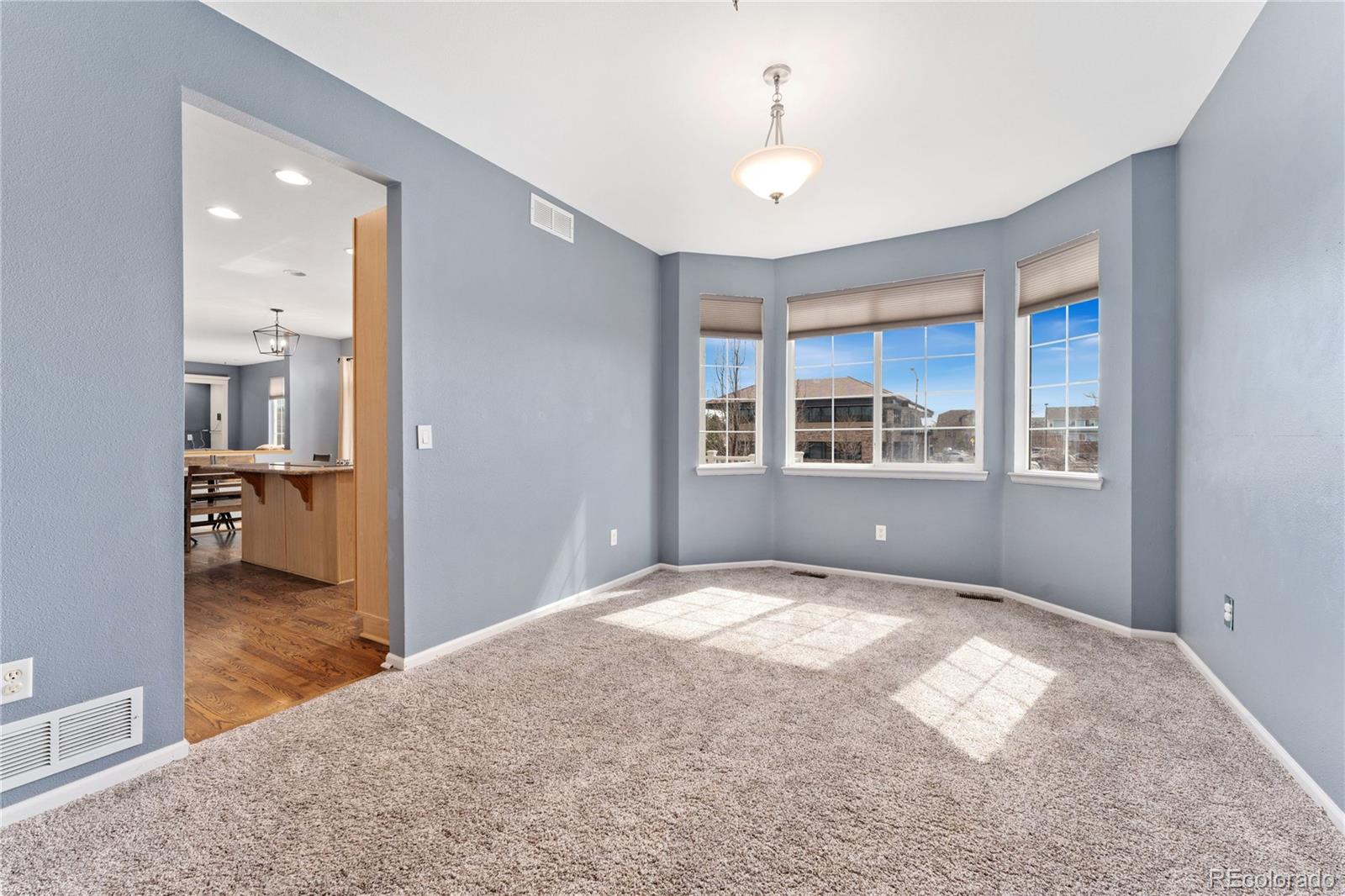 MLS Image #8 for 2942 e 136th place,thornton, Colorado