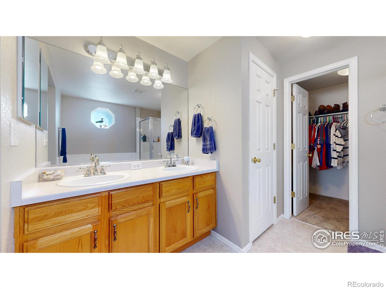 MLS Image #13 for 408  triangle drive,fort collins, Colorado