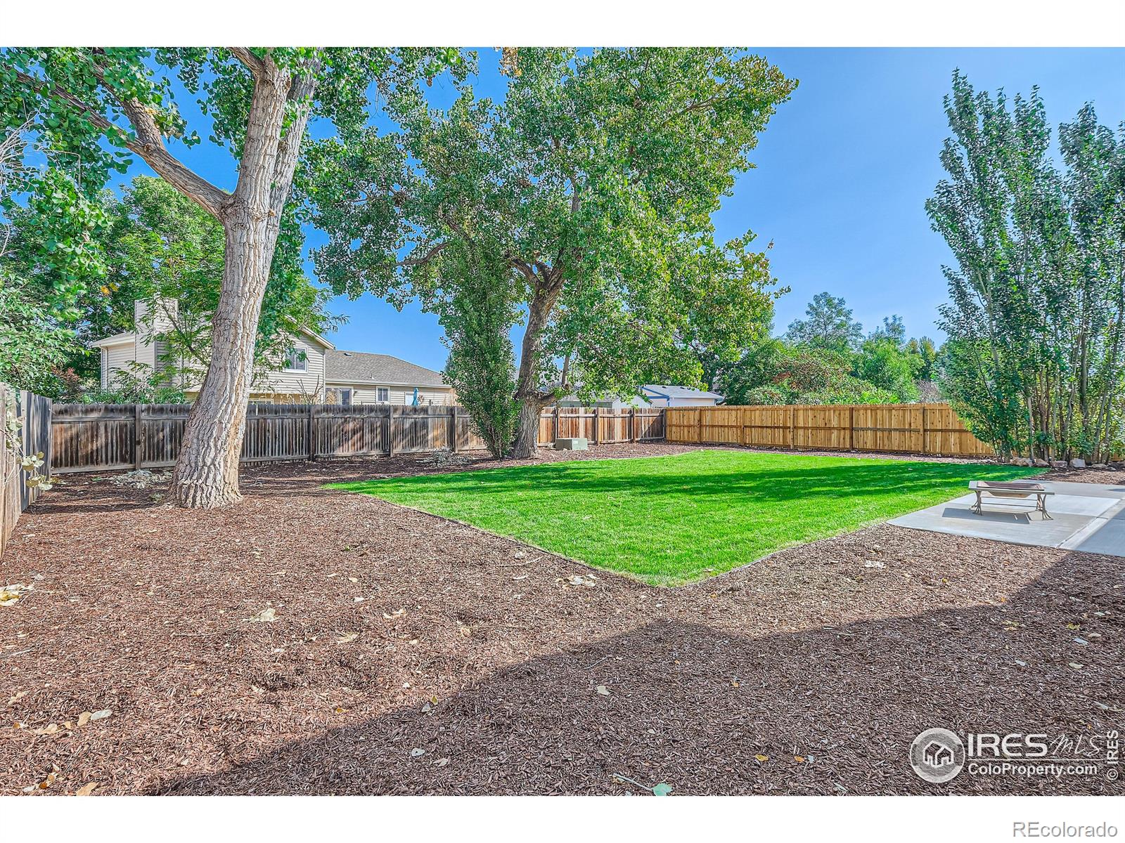 MLS Image #19 for 4  rochester drive,windsor, Colorado