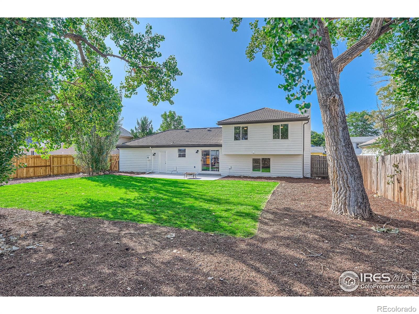 MLS Image #20 for 4  rochester drive,windsor, Colorado