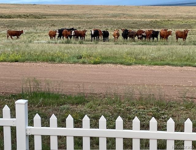 MLS Image #29 for 213  4th street,silver cliff, Colorado