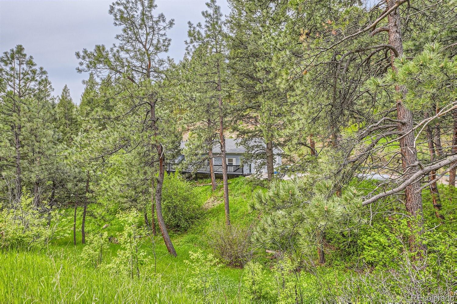 MLS Image #2 for 8787 s deer creek canyon road,littleton, Colorado