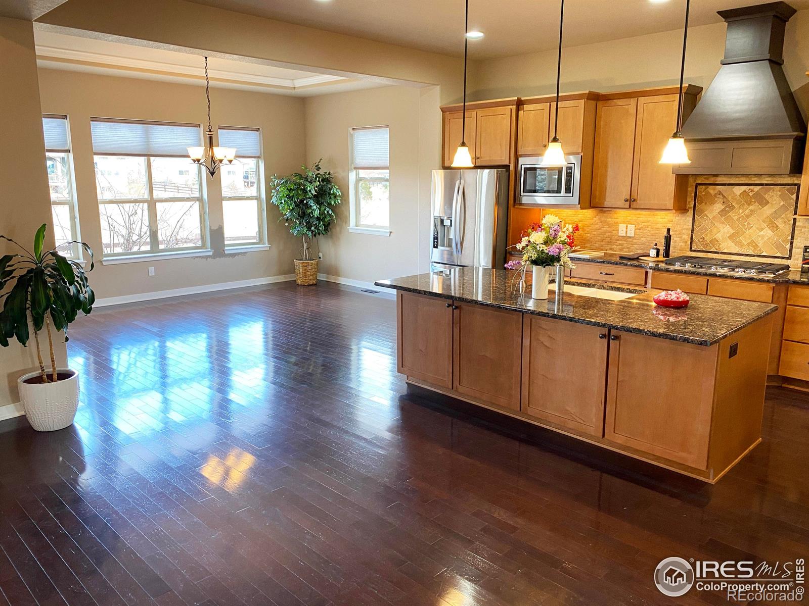 MLS Image #10 for 2808  sunset view drive,fort collins, Colorado