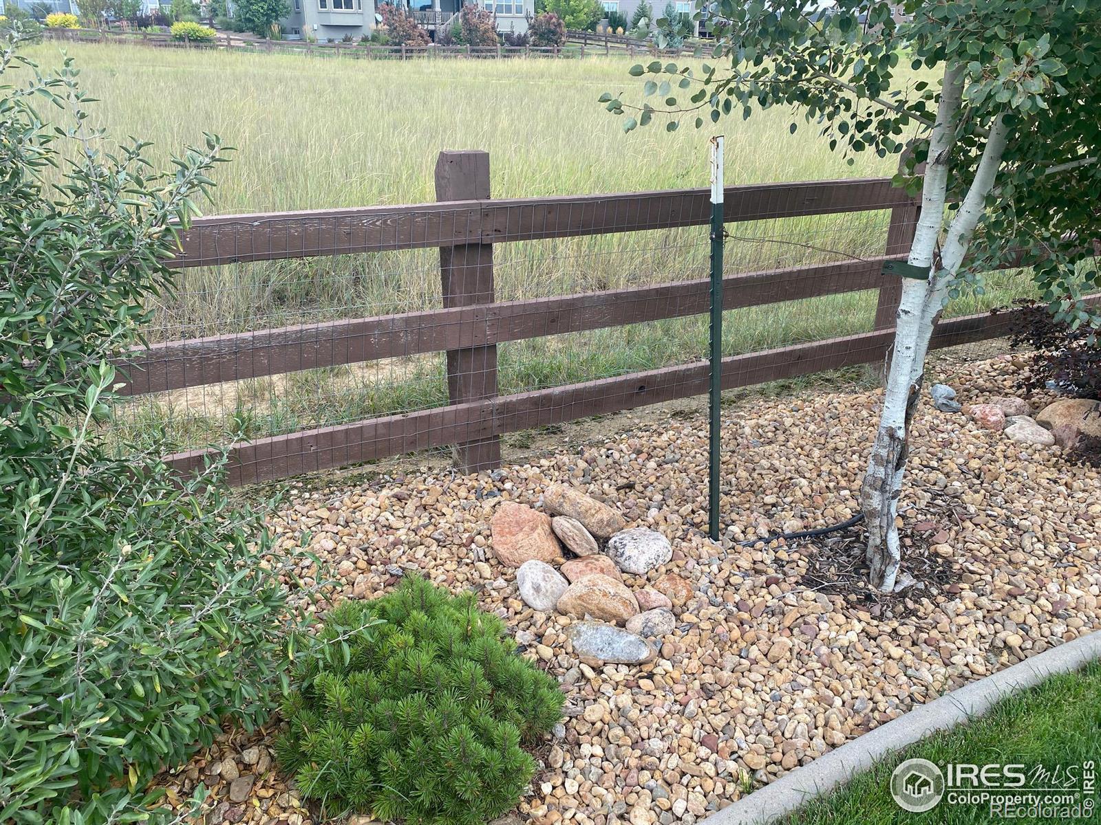 MLS Image #31 for 2808  sunset view drive,fort collins, Colorado