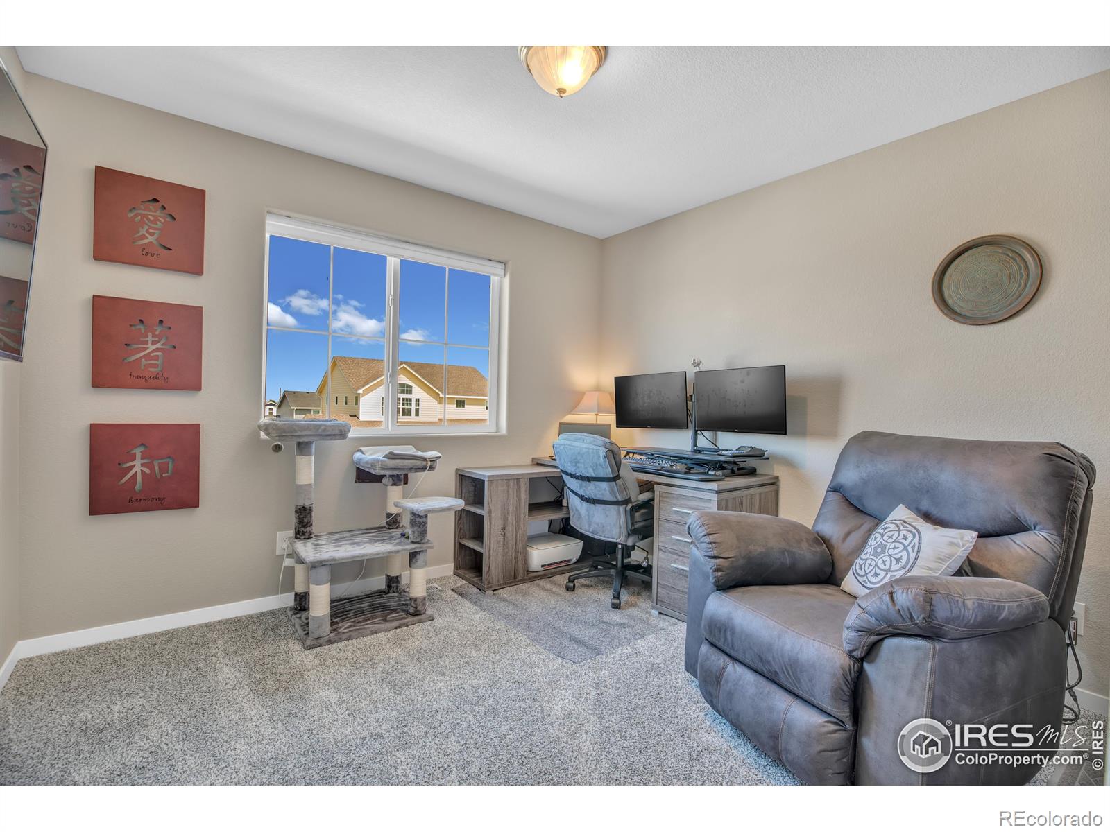 MLS Image #22 for 5472  sequoia place,frederick, Colorado