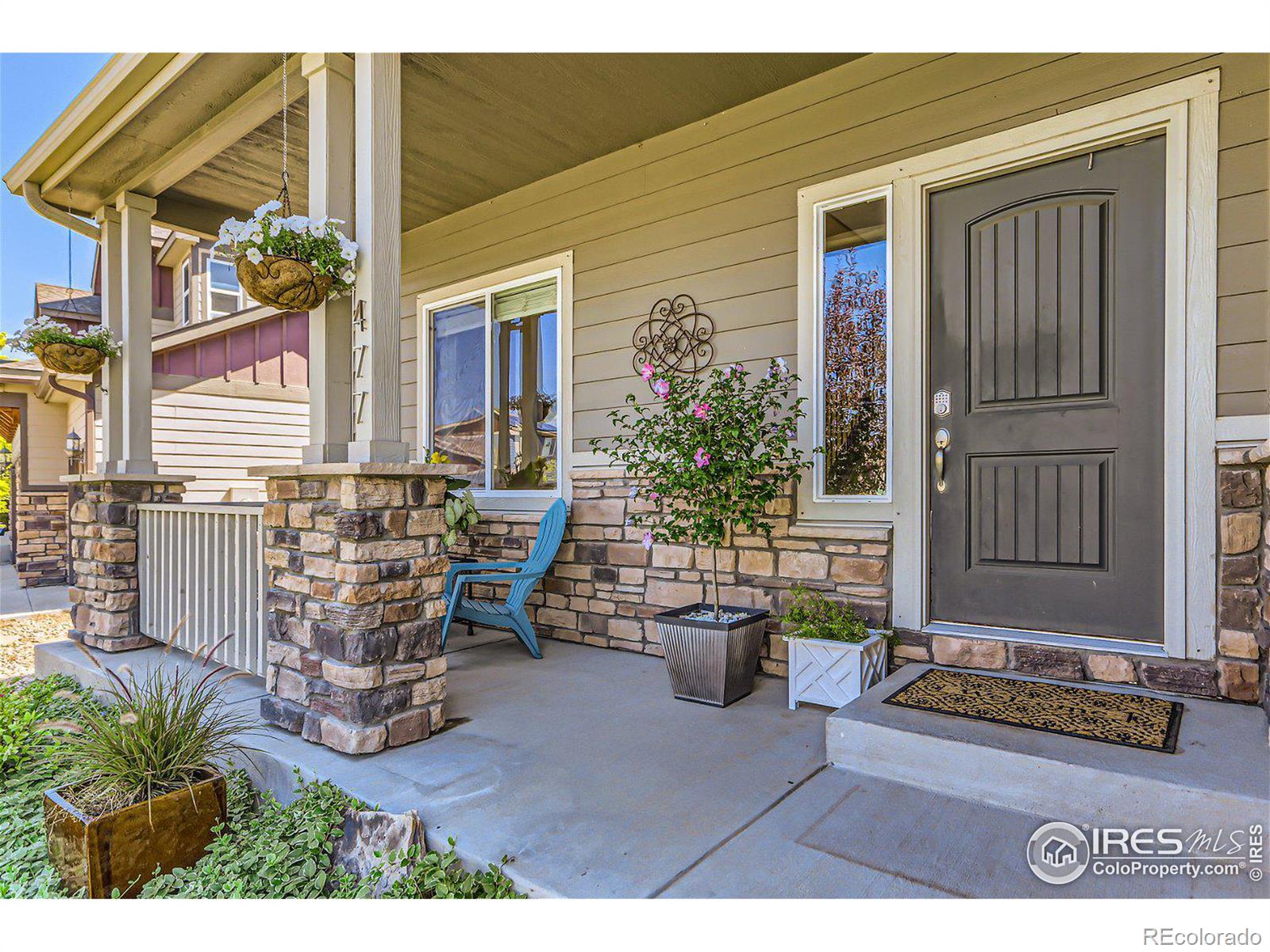 Report Image for 477  Wind River Drive,Windsor, Colorado