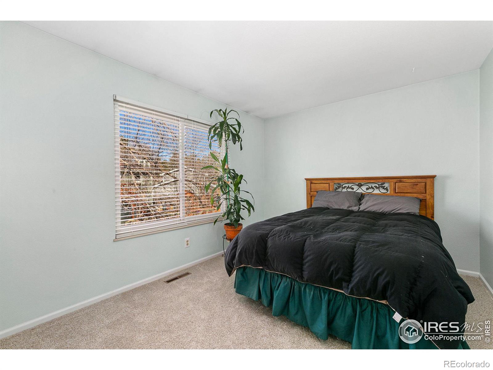 MLS Image #19 for 2257  iroquois drive,fort collins, Colorado