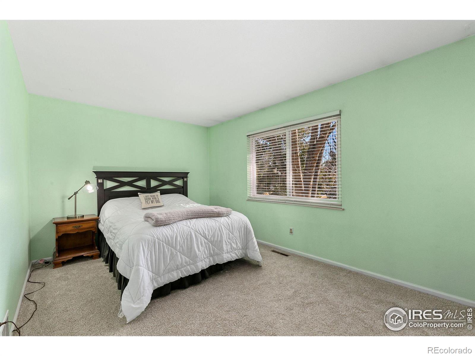 MLS Image #21 for 2257  iroquois drive,fort collins, Colorado