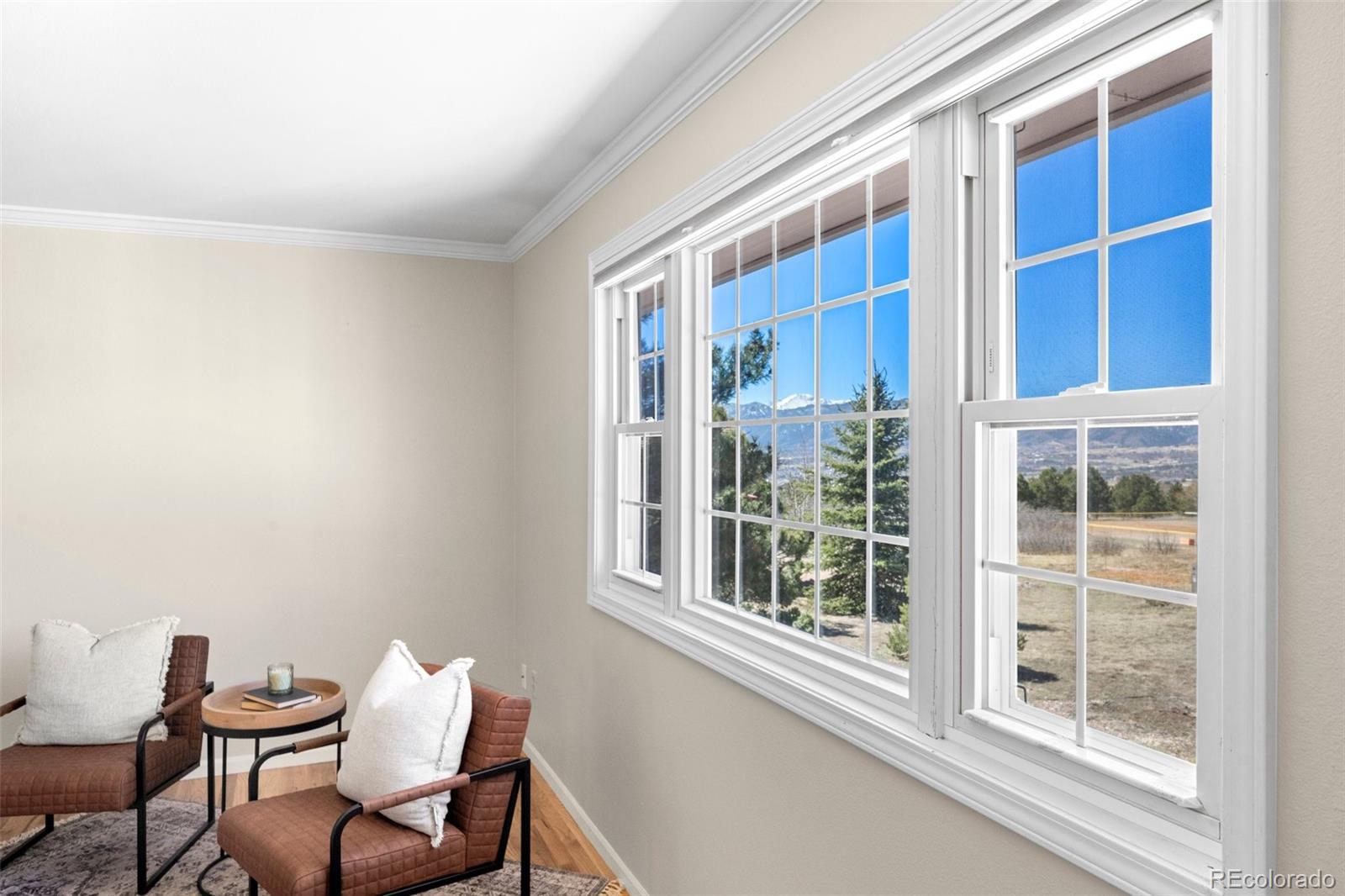 MLS Image #16 for 18330  white fawn drive,monument, Colorado