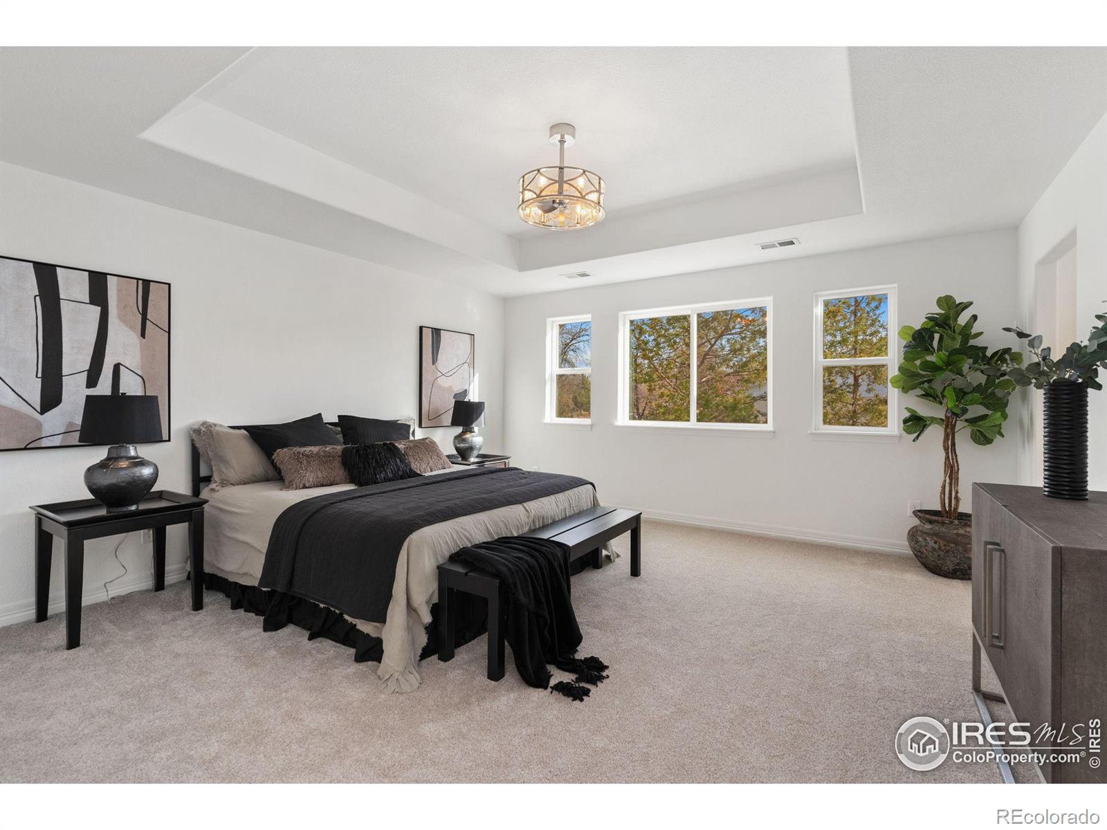 MLS Image #21 for 1717 w mulberry street,fort collins, Colorado
