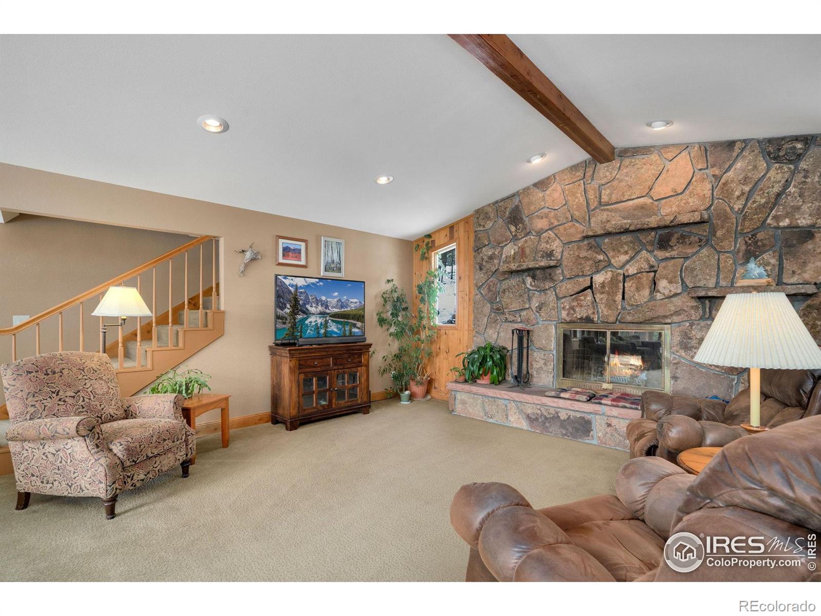 MLS Image #11 for 850  east lane,estes park, Colorado
