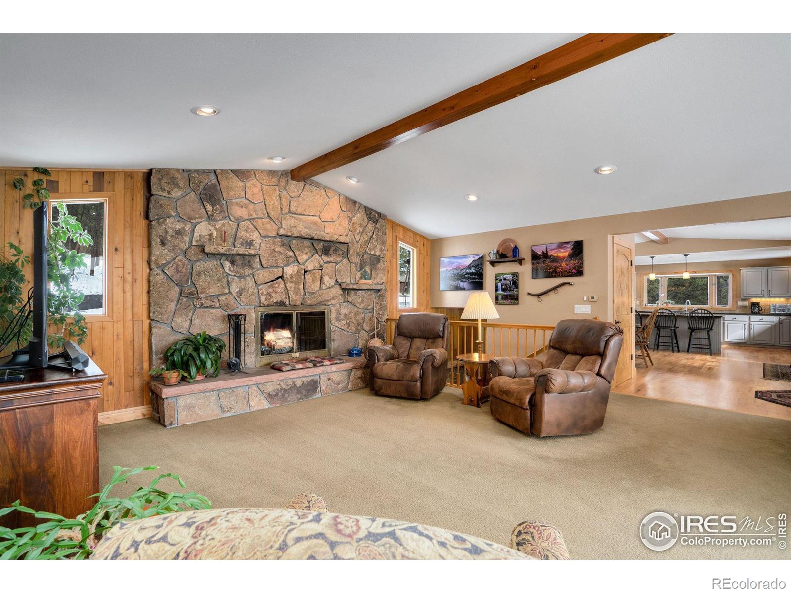 MLS Image #12 for 850  east lane,estes park, Colorado
