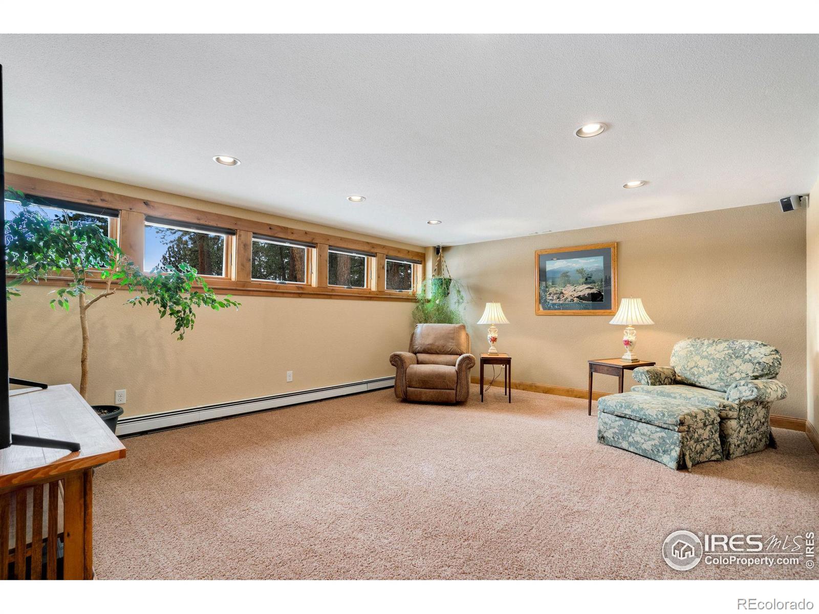 MLS Image #15 for 850  east lane,estes park, Colorado
