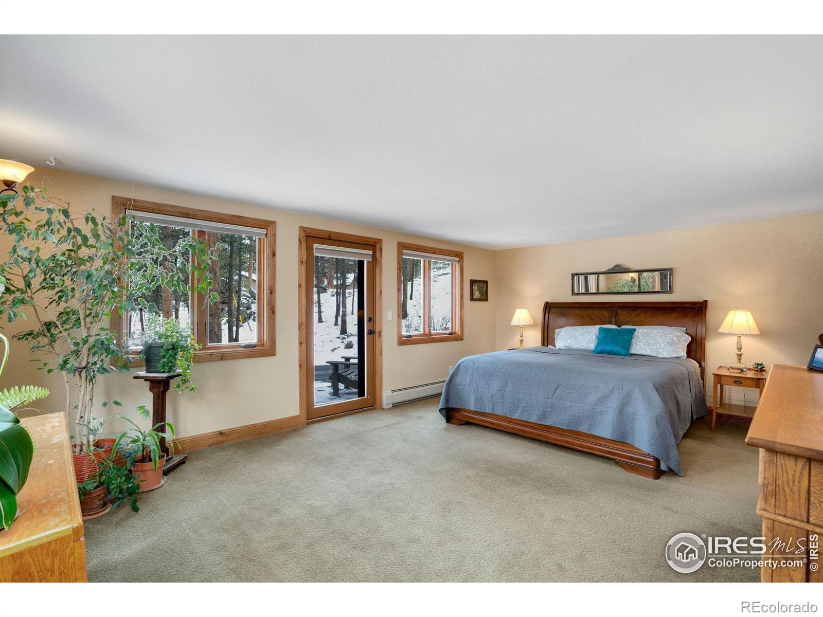 MLS Image #16 for 850  east lane,estes park, Colorado