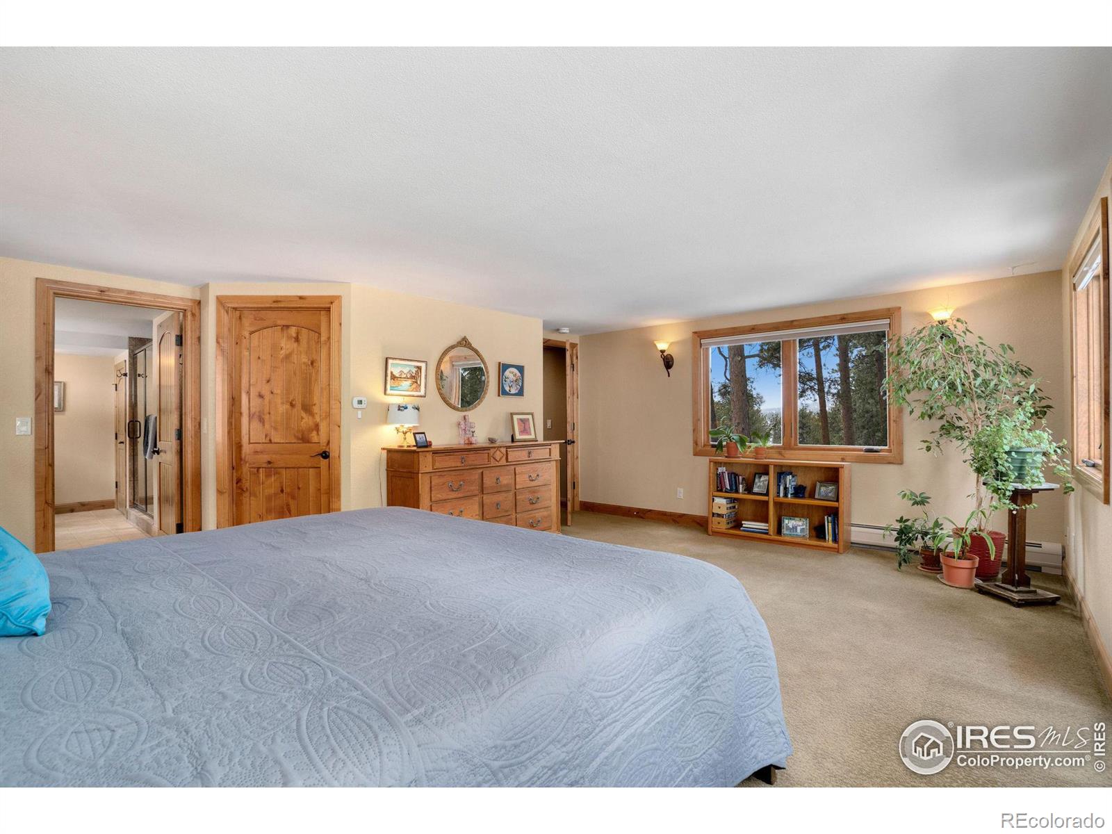 MLS Image #17 for 850  east lane,estes park, Colorado