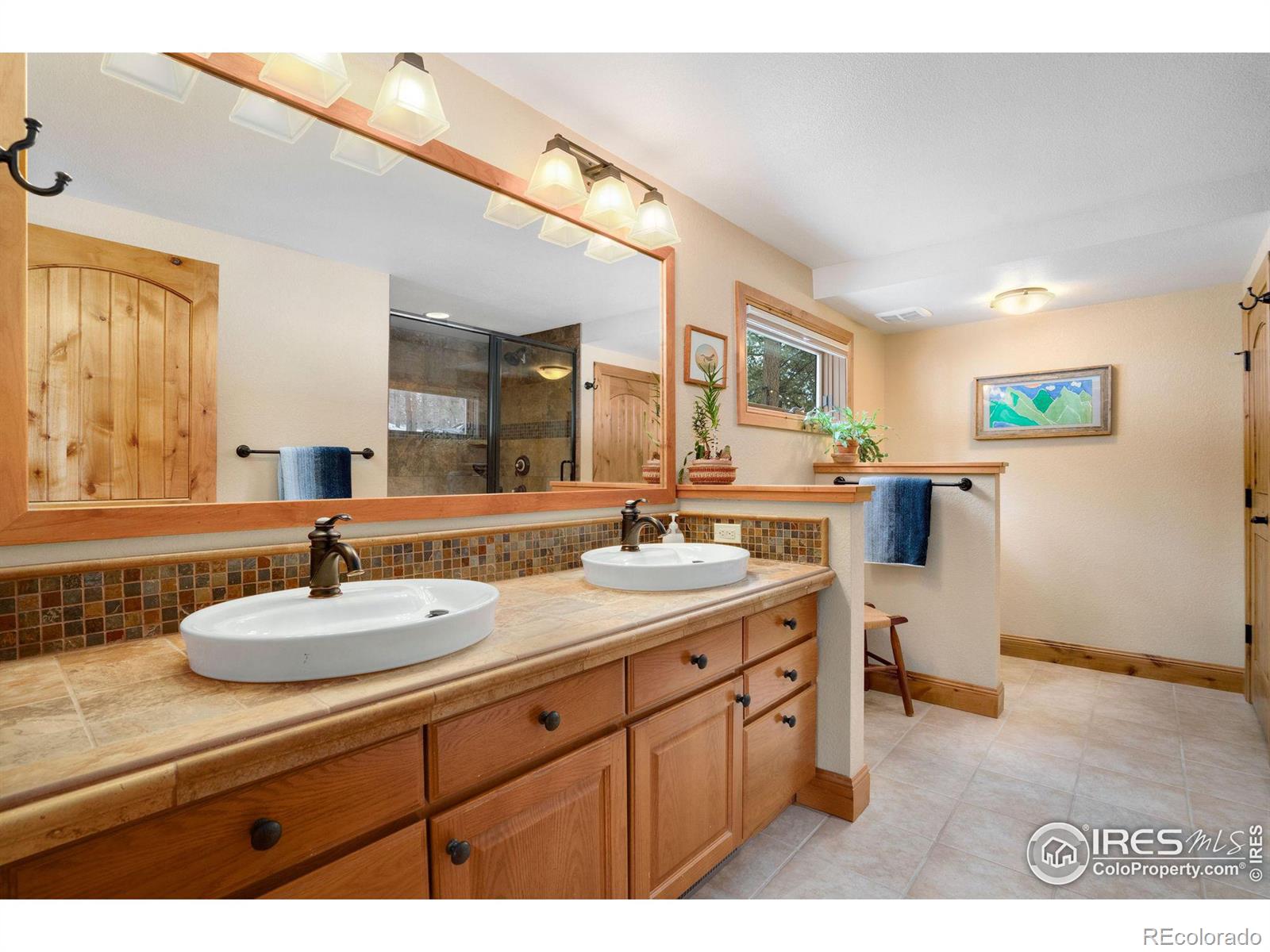 MLS Image #18 for 850  east lane,estes park, Colorado