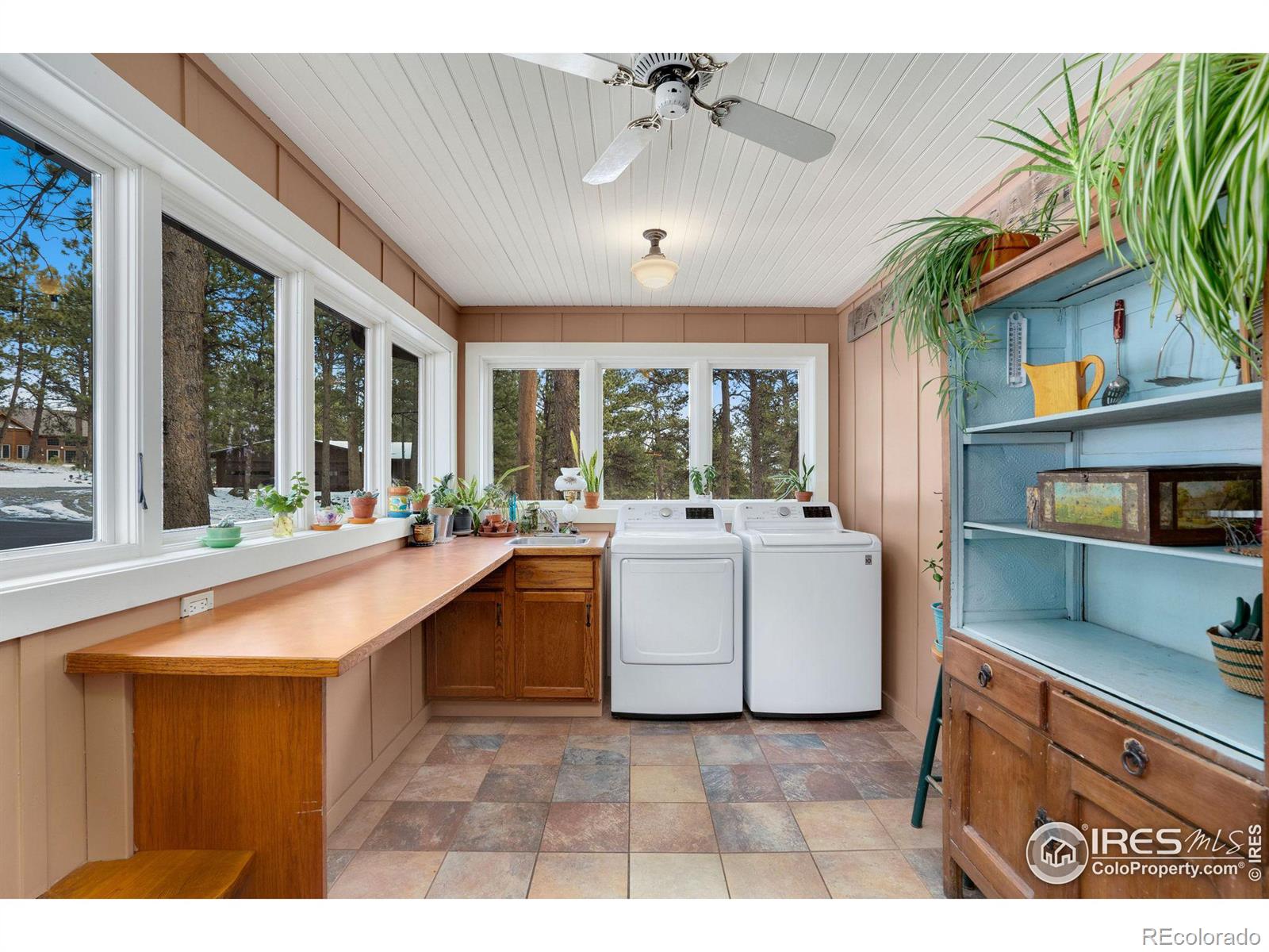 MLS Image #21 for 850  east lane,estes park, Colorado