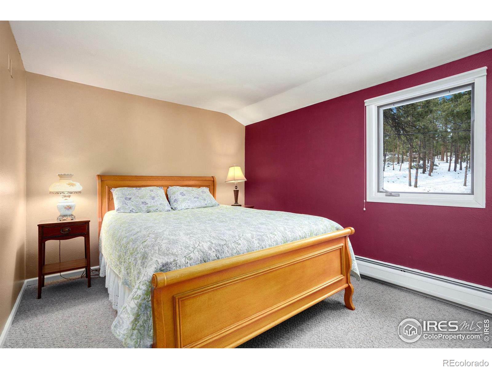 MLS Image #23 for 850  east lane,estes park, Colorado