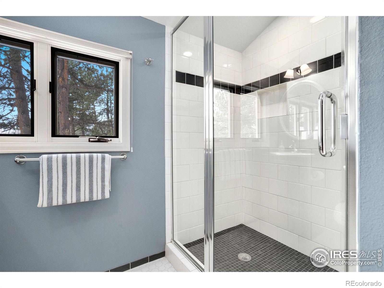 MLS Image #27 for 850  east lane,estes park, Colorado