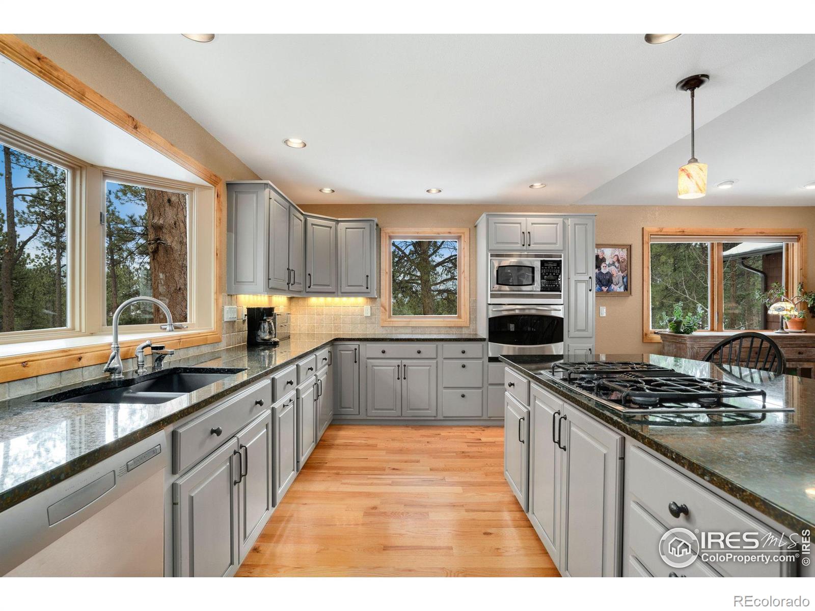 MLS Image #4 for 850  east lane,estes park, Colorado