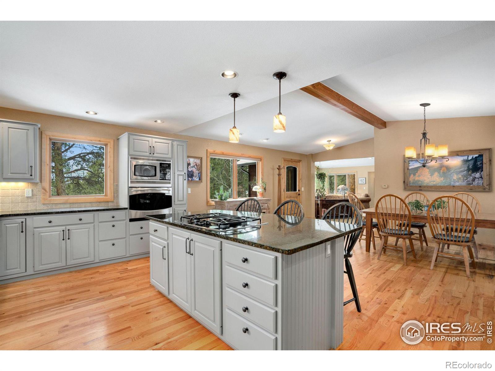MLS Image #5 for 850  east lane,estes park, Colorado
