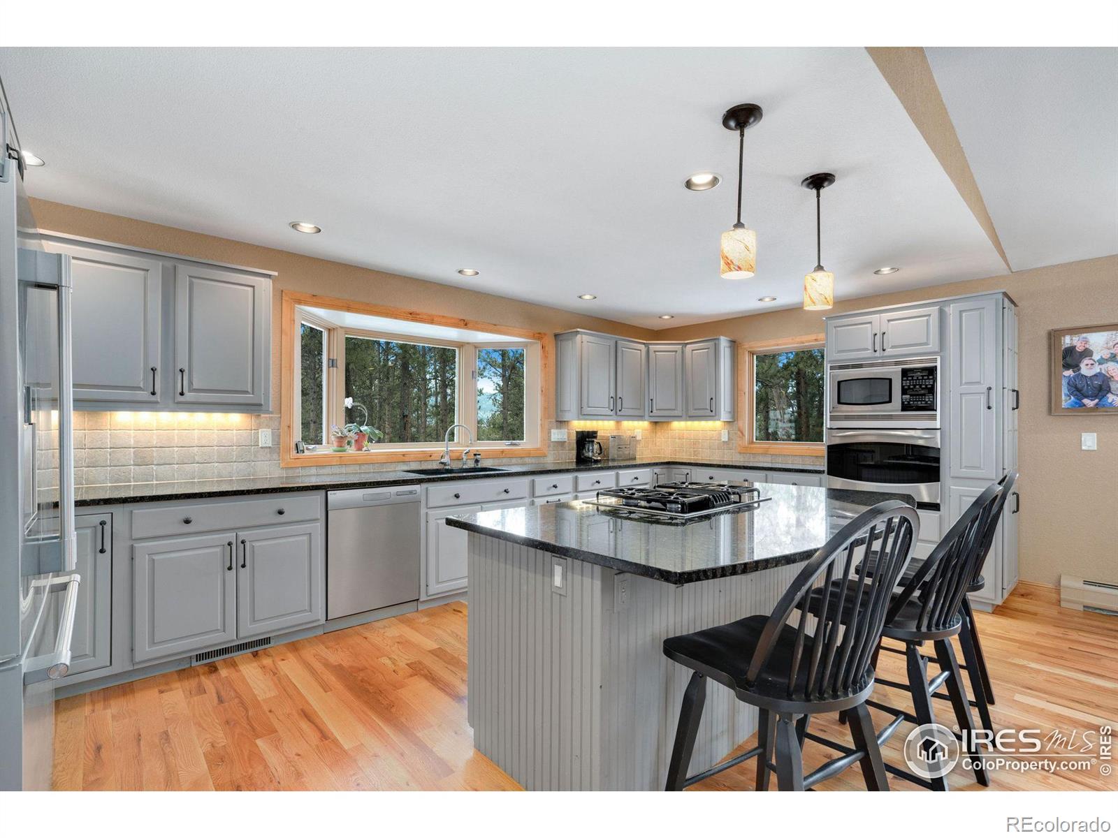 MLS Image #6 for 850  east lane,estes park, Colorado